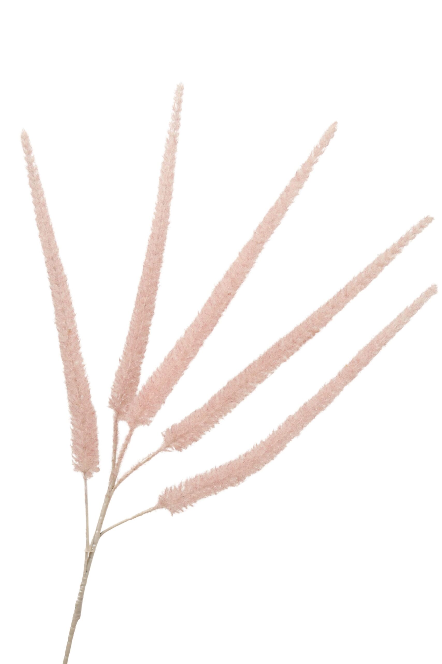 Pluim tak x 5 95 cm lichtroze