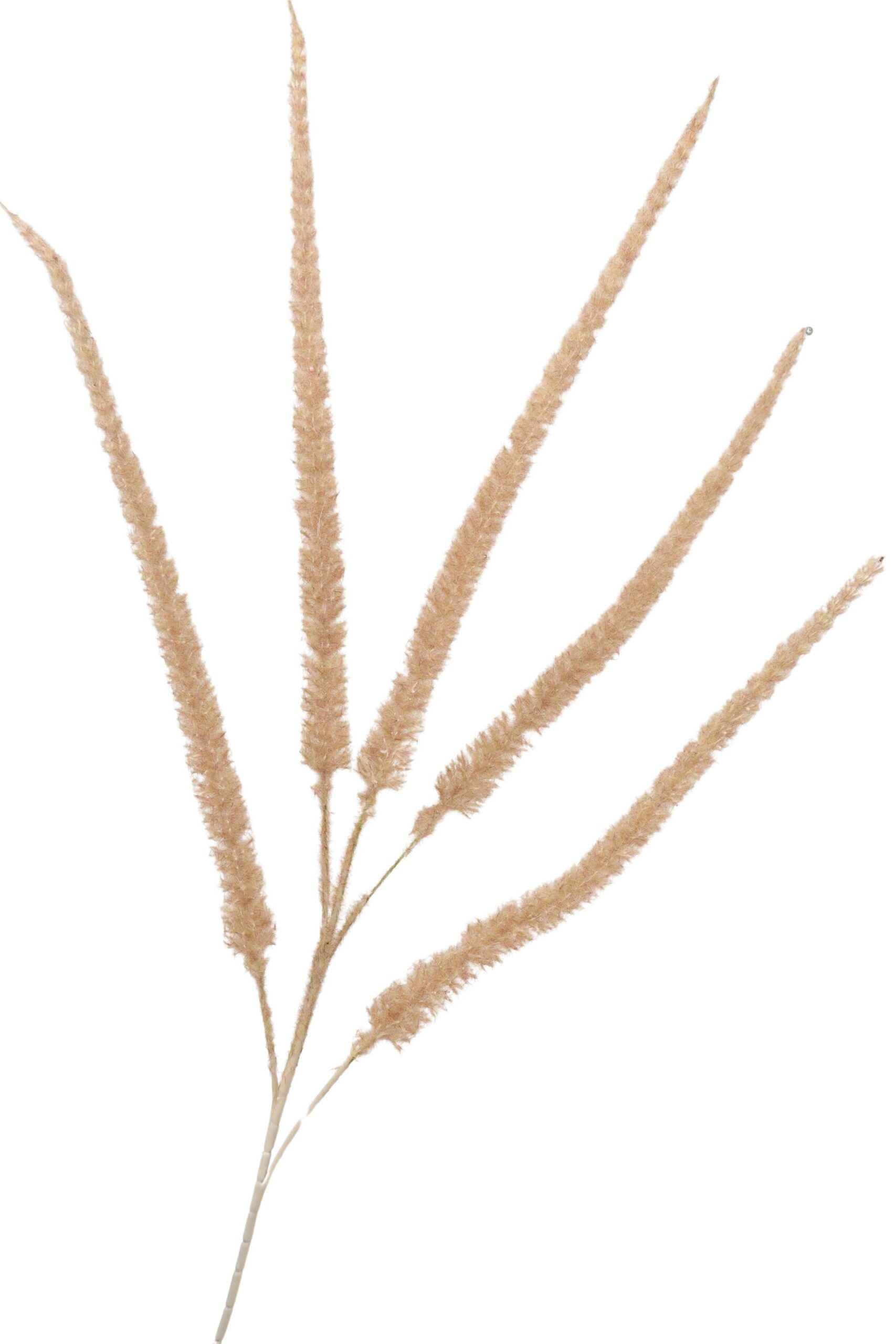 Pluim tak x 5 95 cm beige