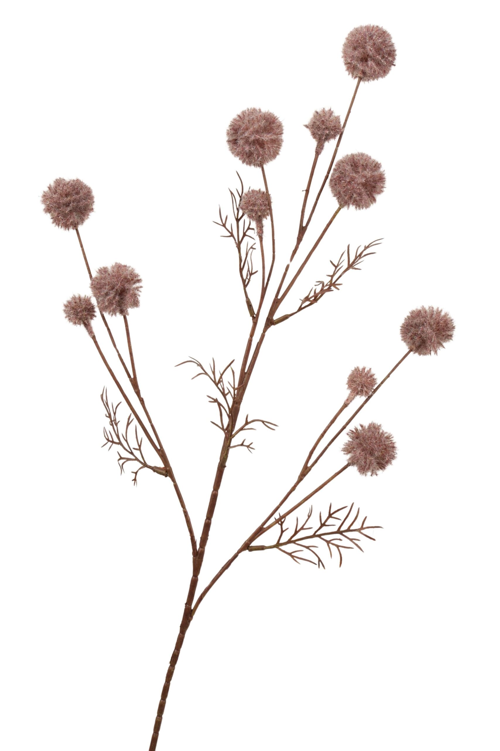 Distel tak 84 cm donkerkoffie