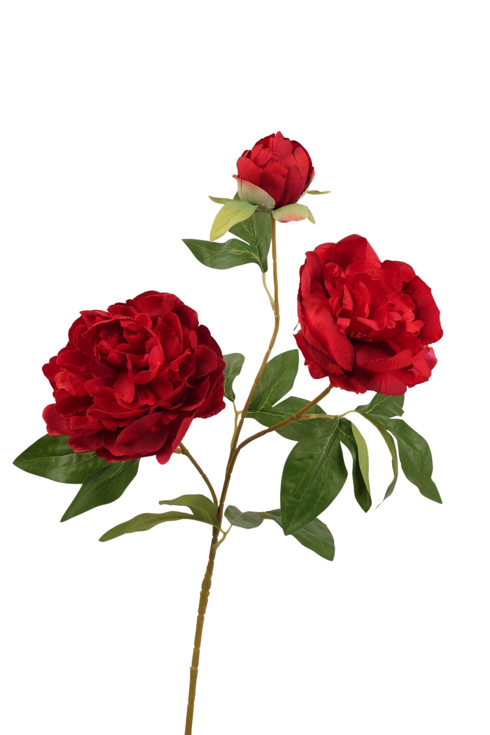 Pioen tak x 3 75 cm rood