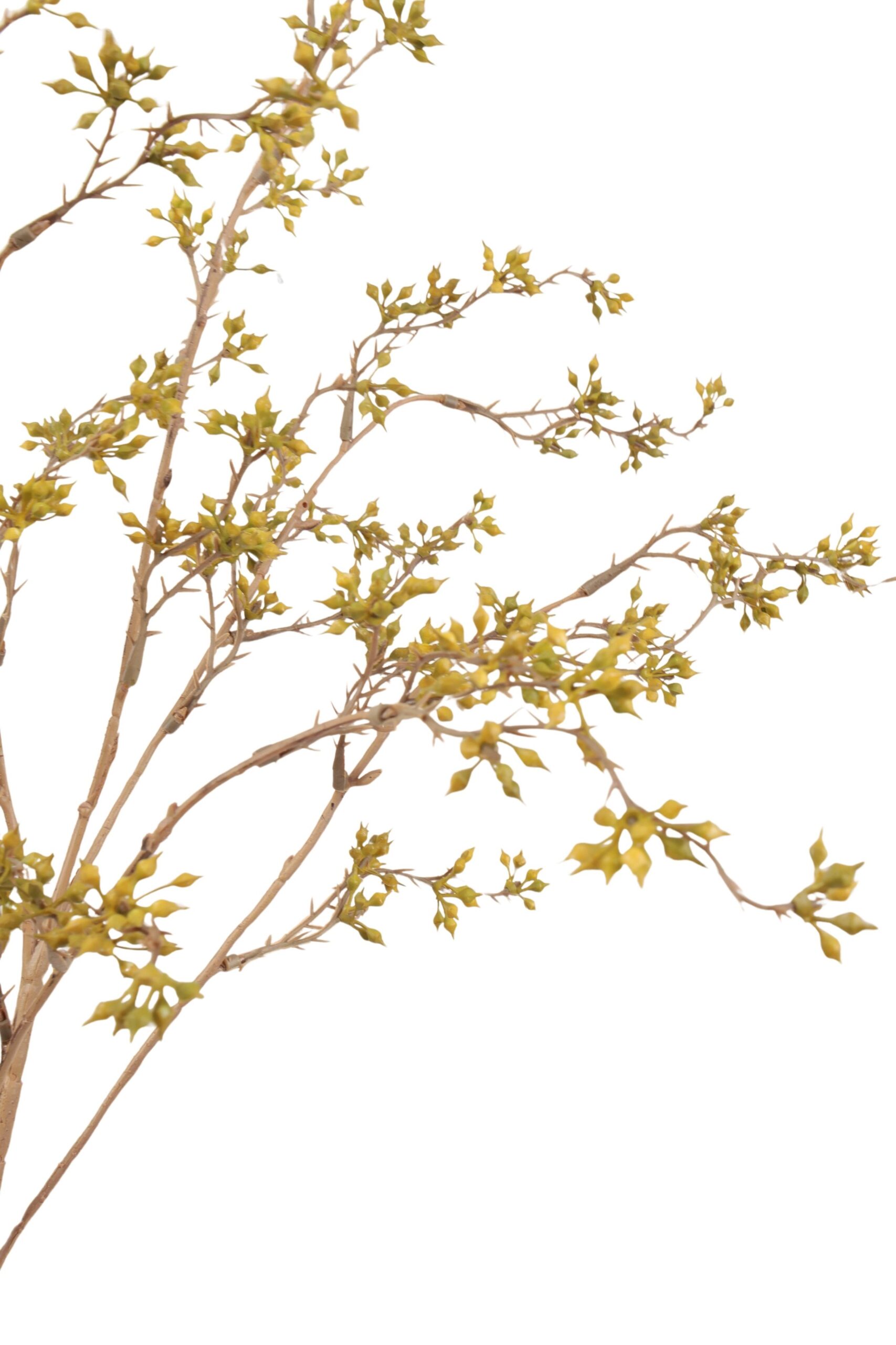 Azara tak 93 cm groen, foto 2 van 2