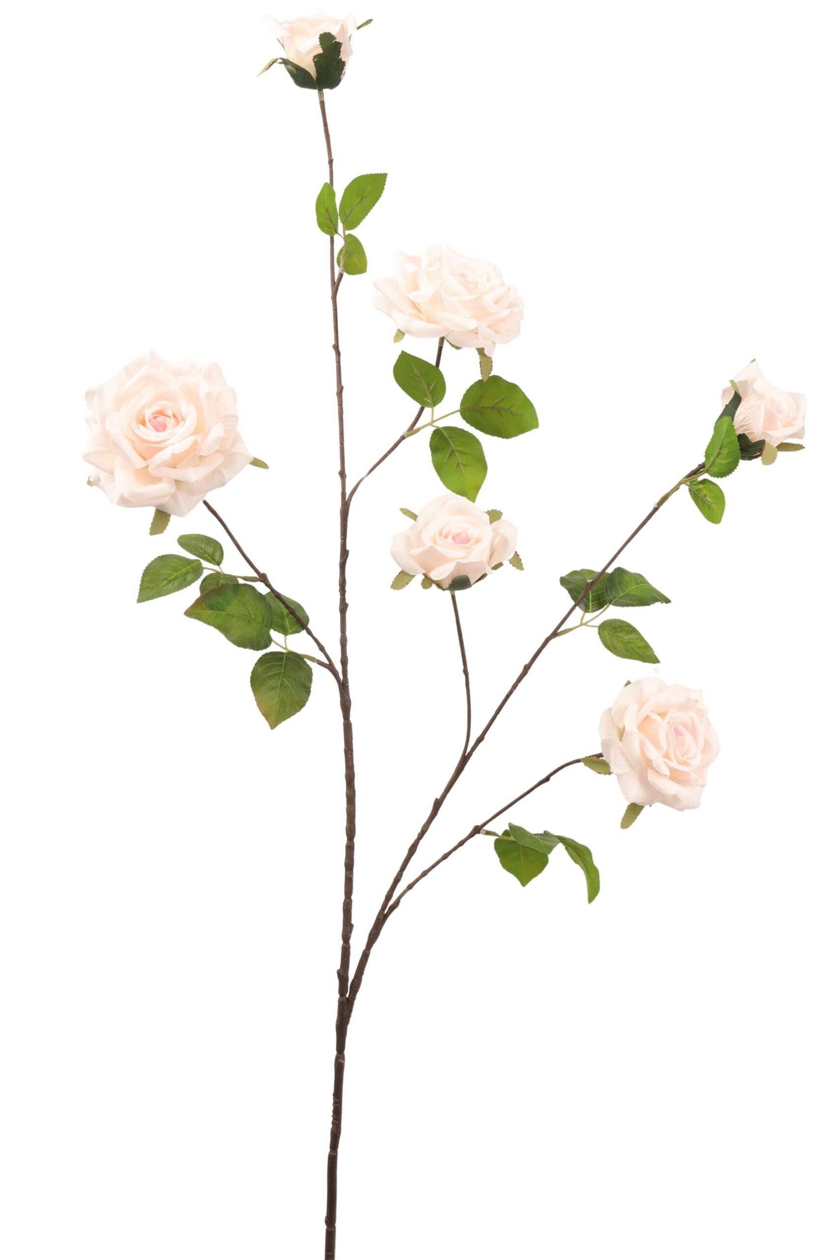 Roos tak x 6 groot 120 cm crème/roze
