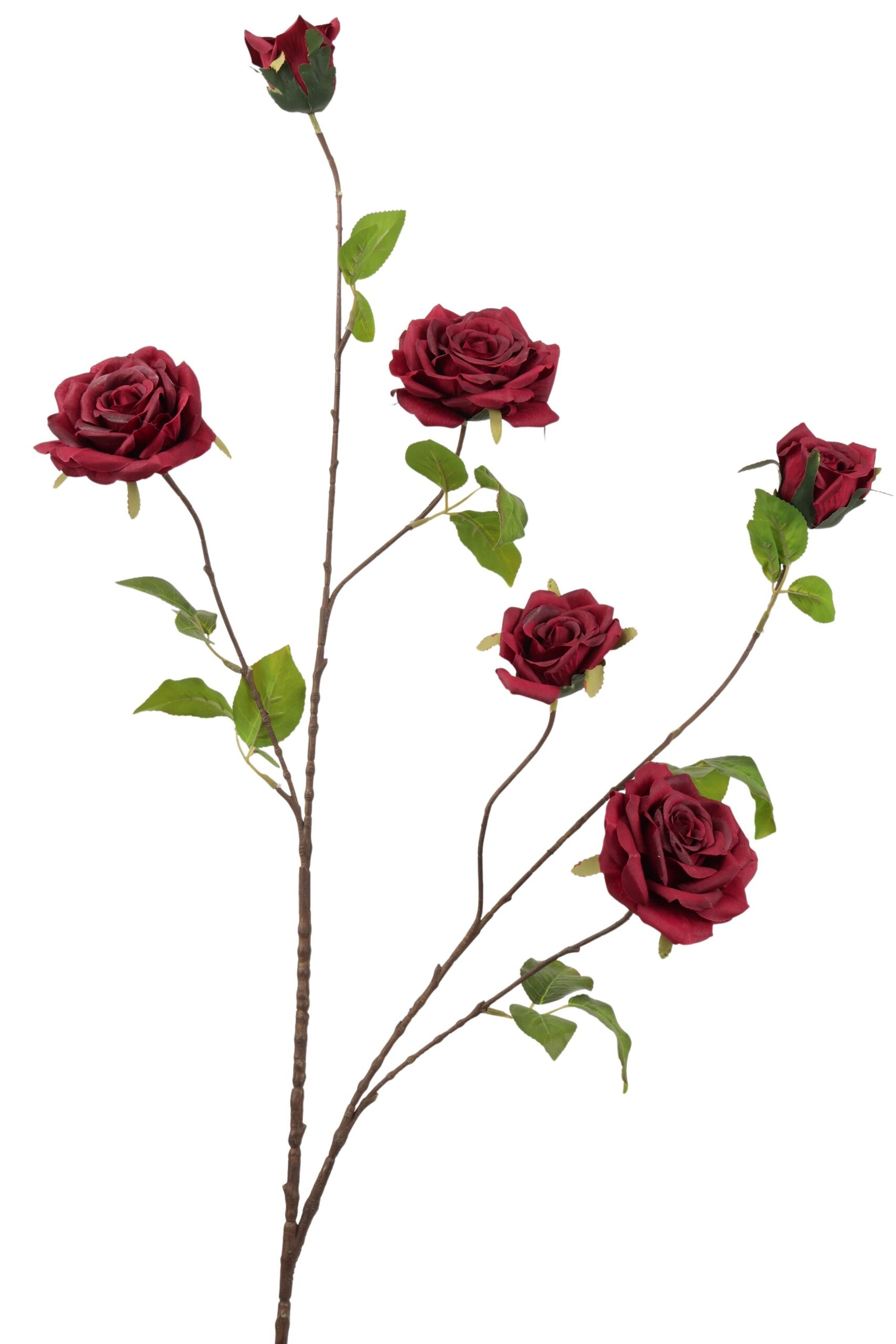 Roos tak x 6 groot 120 cm bordeaux