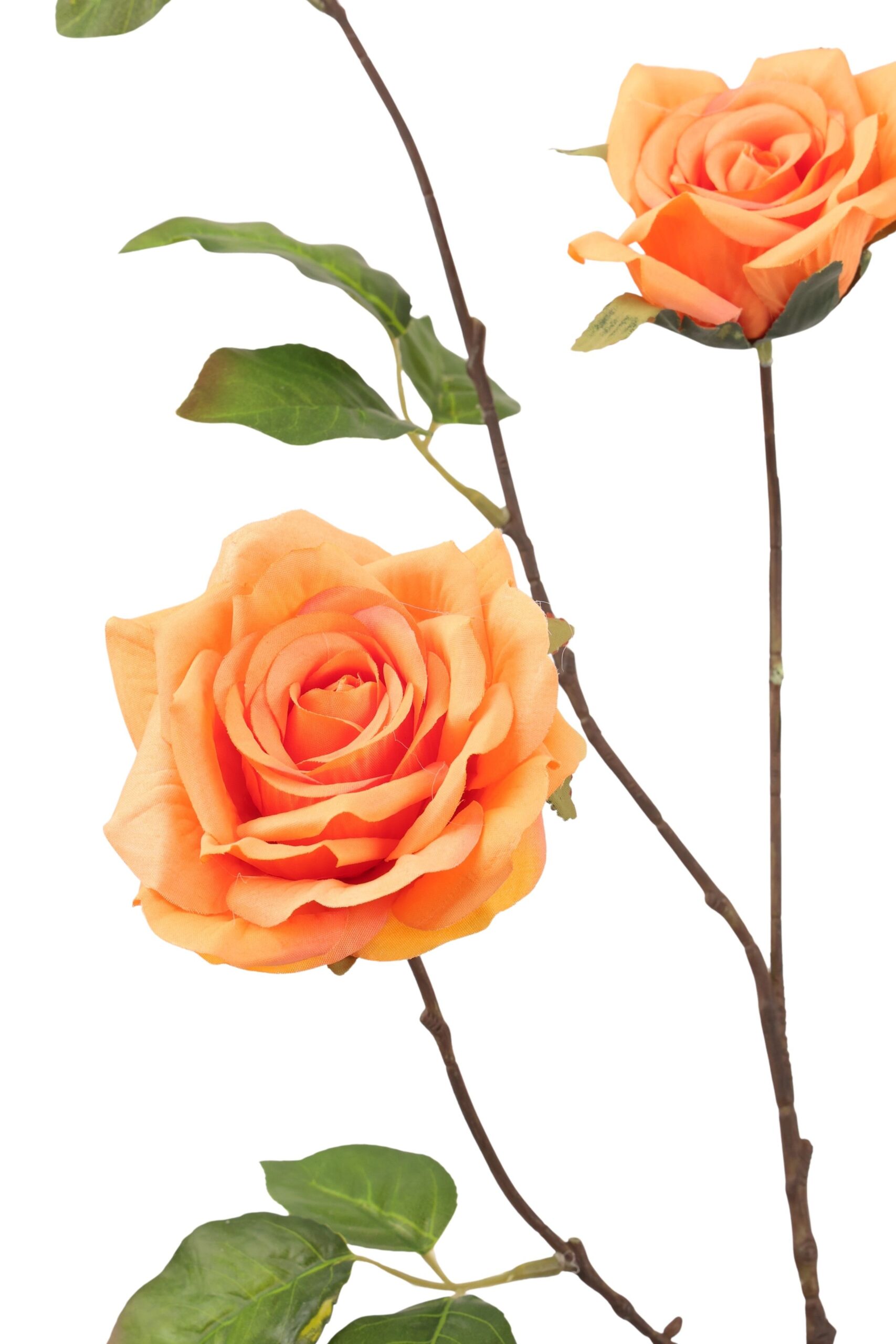 Roos tak x 6 groot 120 cm oranje, foto 2 van 2