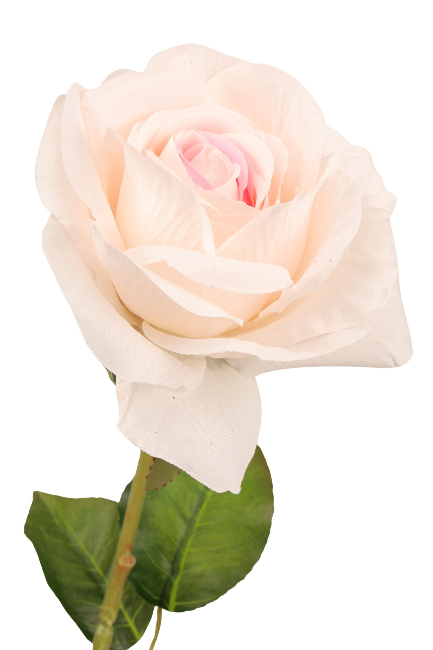 Roos tak x1 67 cm crème/roze, foto 2 van 2