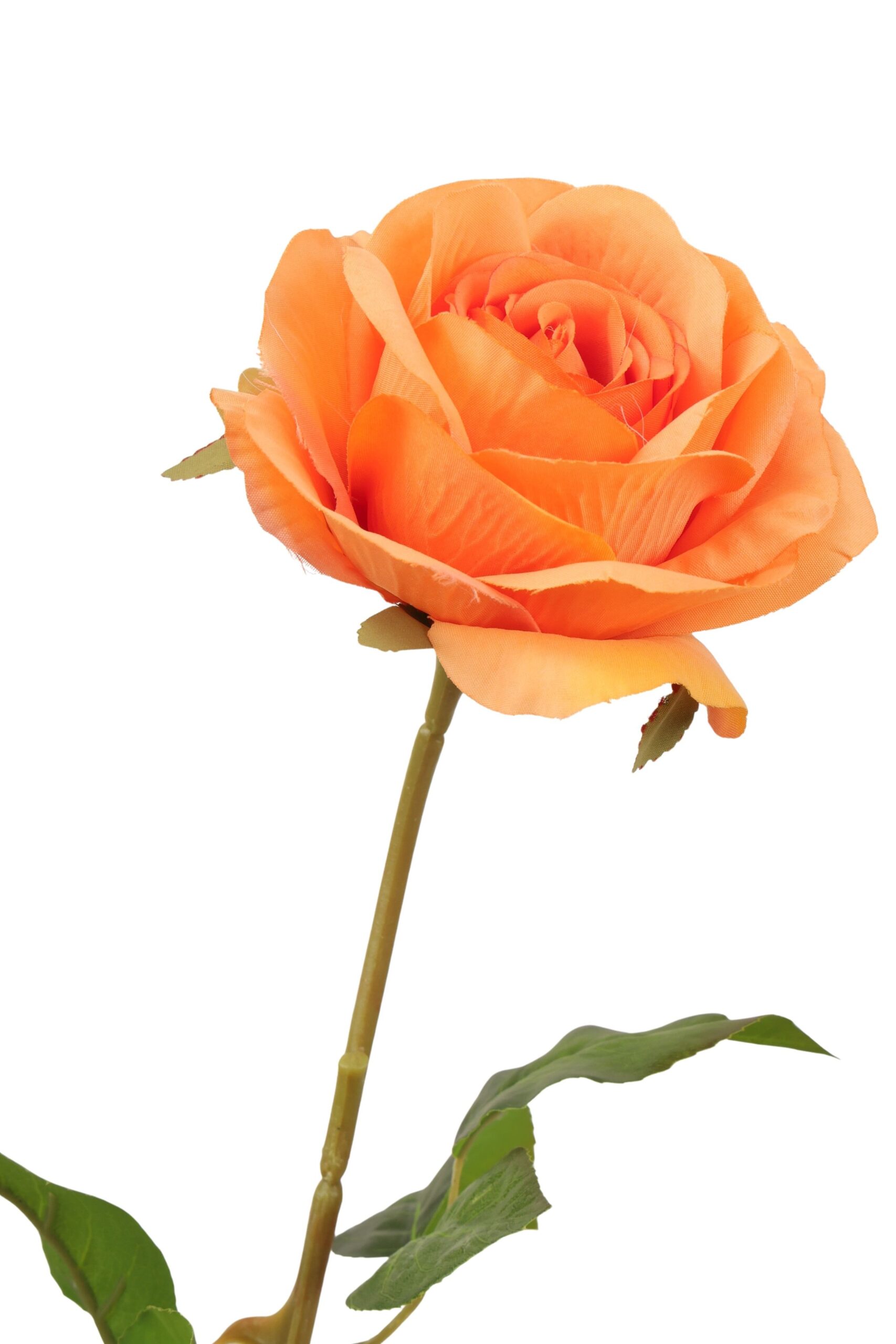 Roos tak x1 67 cm oranje, foto 2 van 2