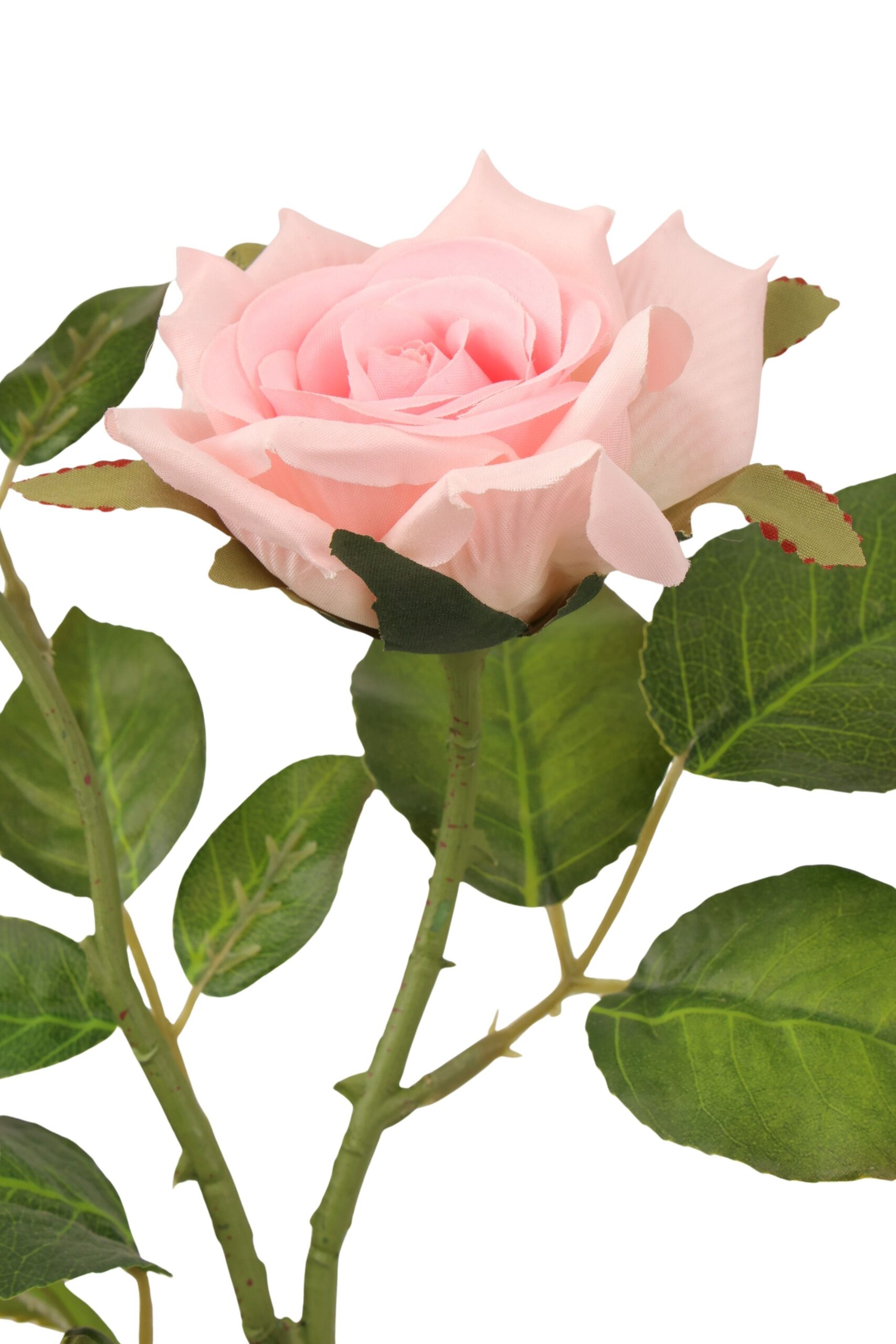 Roos tak x 2 65 cm roze, foto 2 van 2