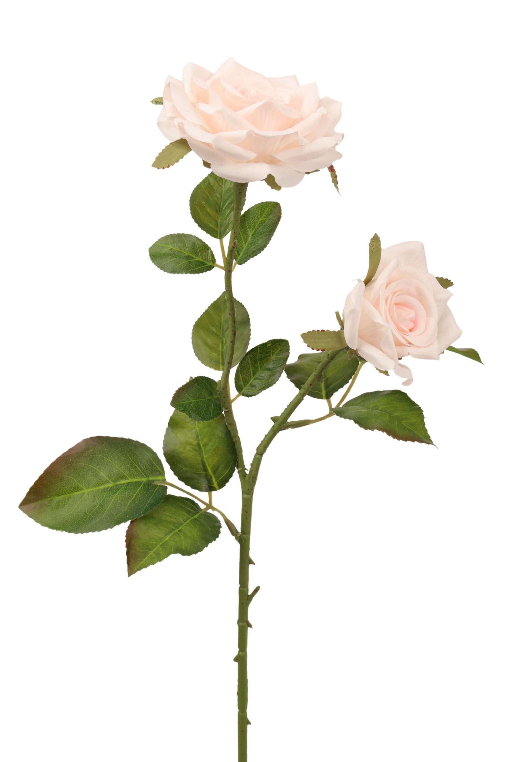 Roos tak x 2 65 cm crème/roze