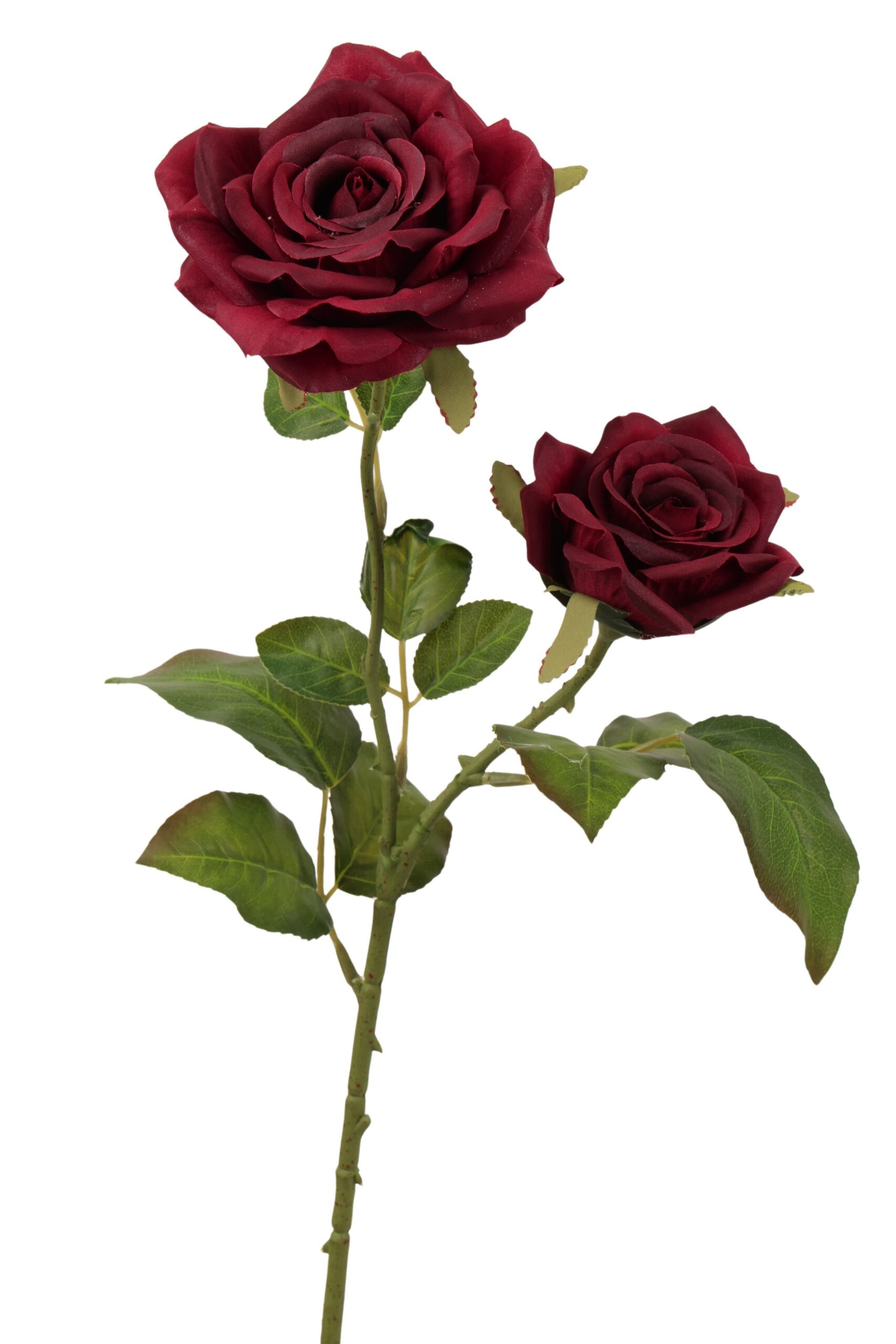 Roos tak x 2 65 cm bordeaux
