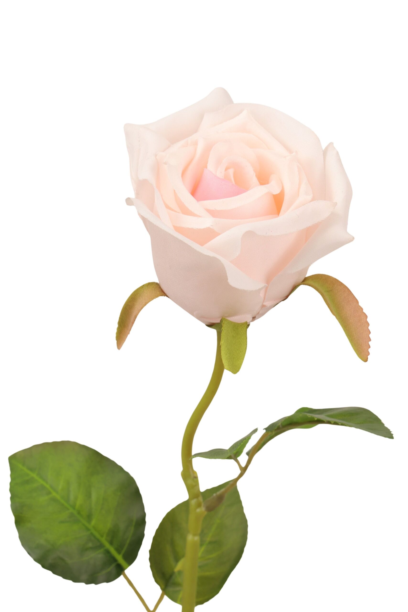 Roos tak x 1 52 cm crème/roze, foto 2 van 2