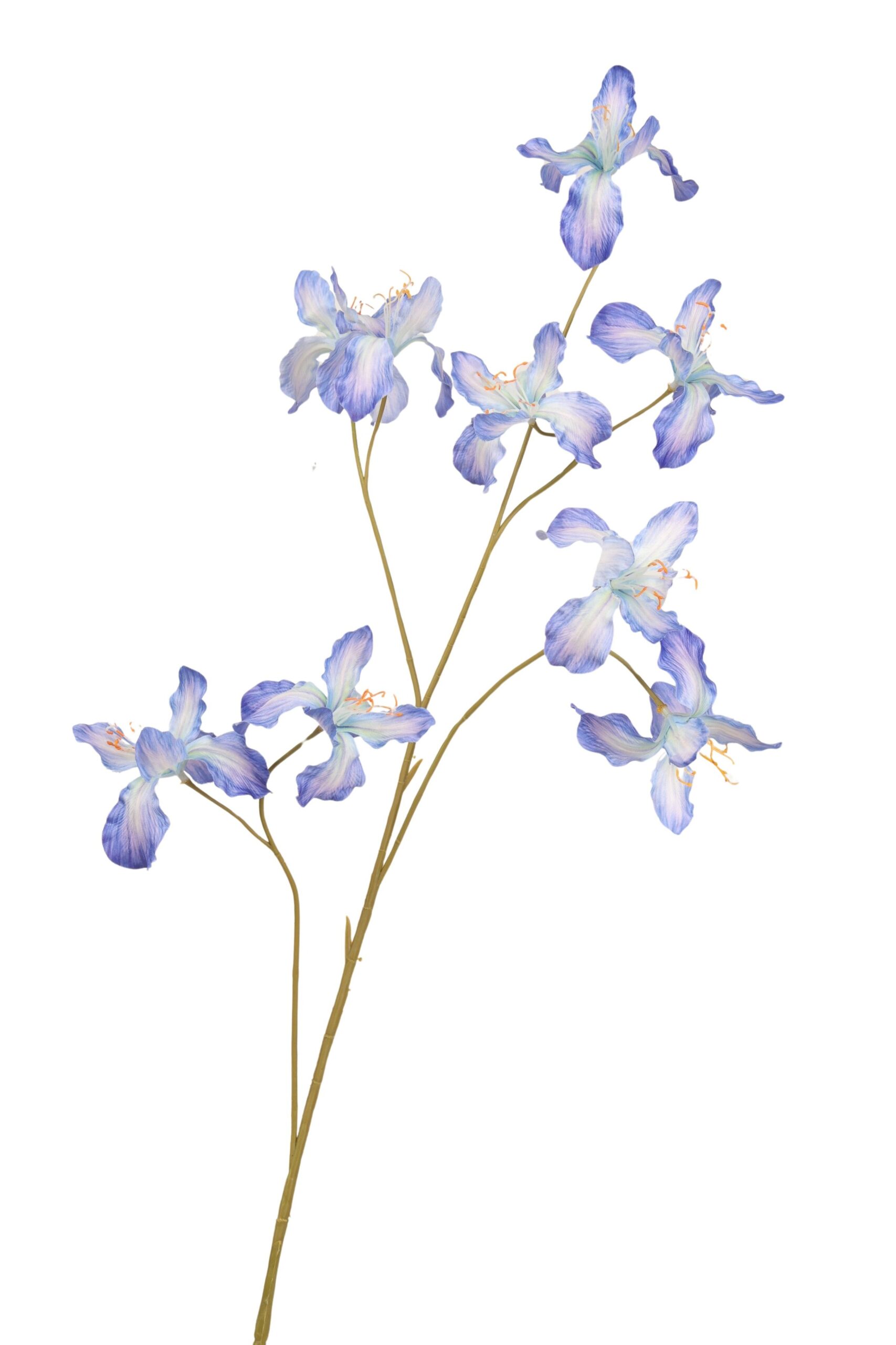 Iris tak 104 cm blauw