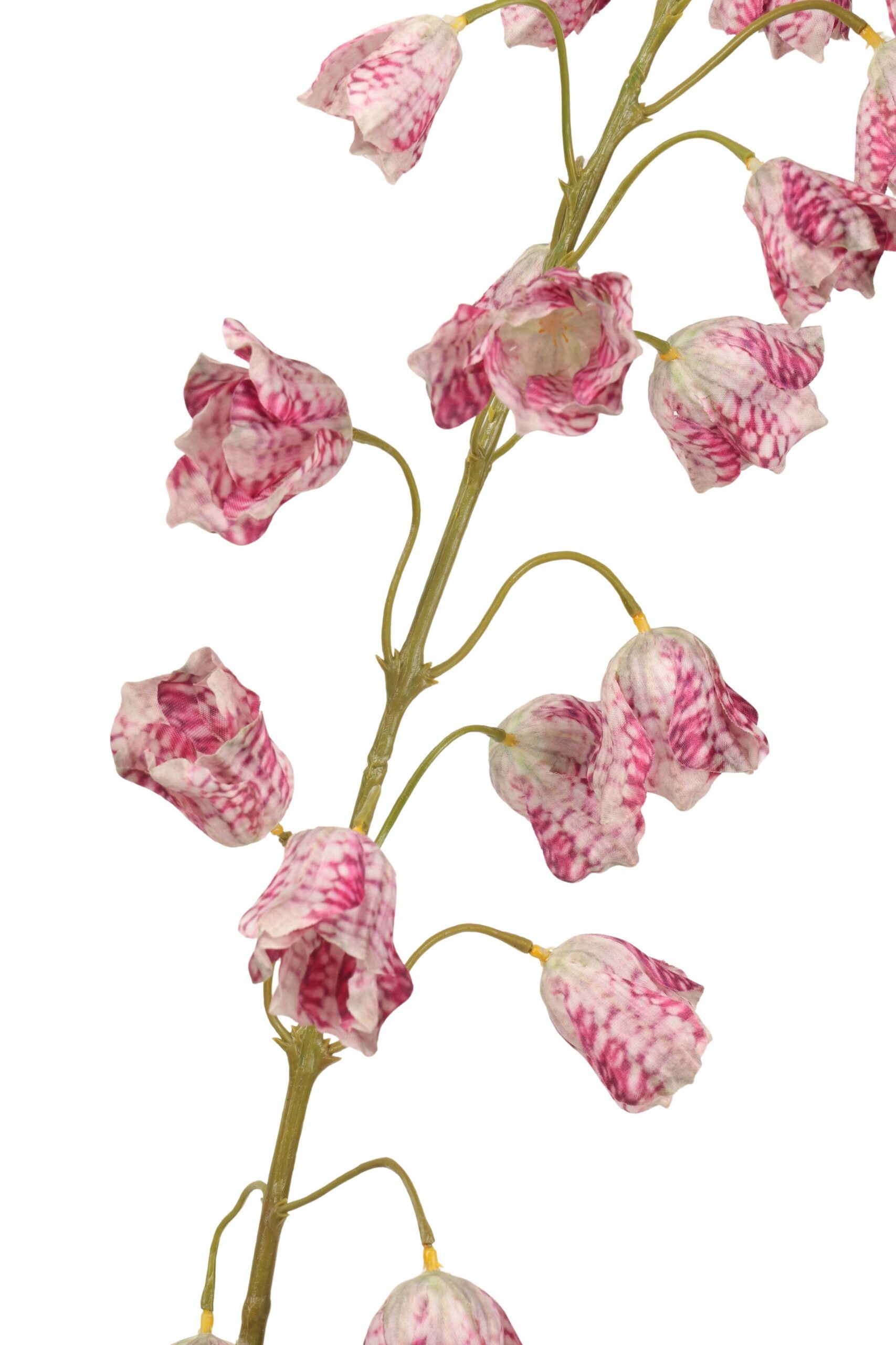 Frittularia tak 105 cm wit/paars, foto 2 van 2