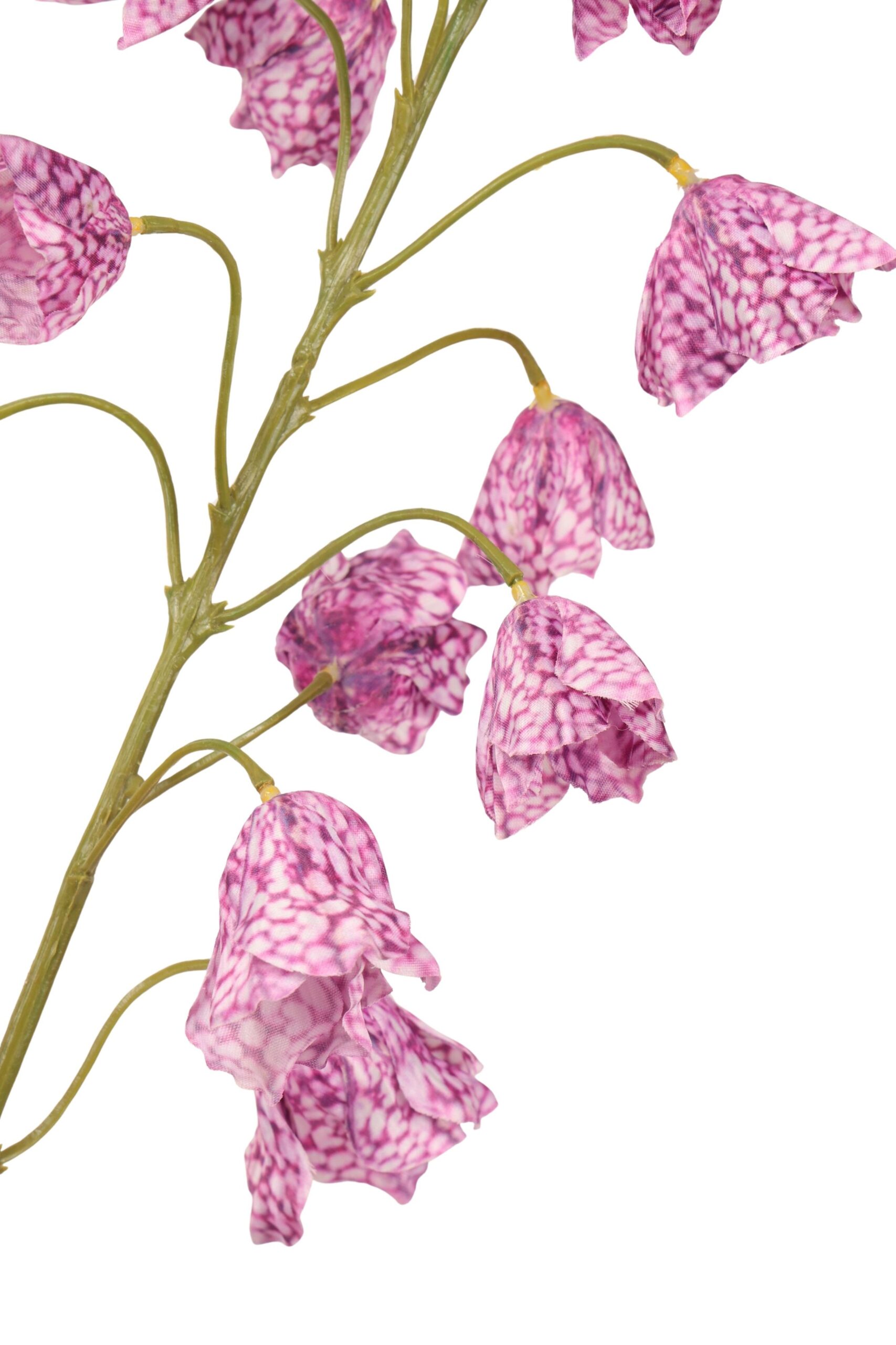 Frittularia tak 105 cm donkerpaars, foto 2 van 2
