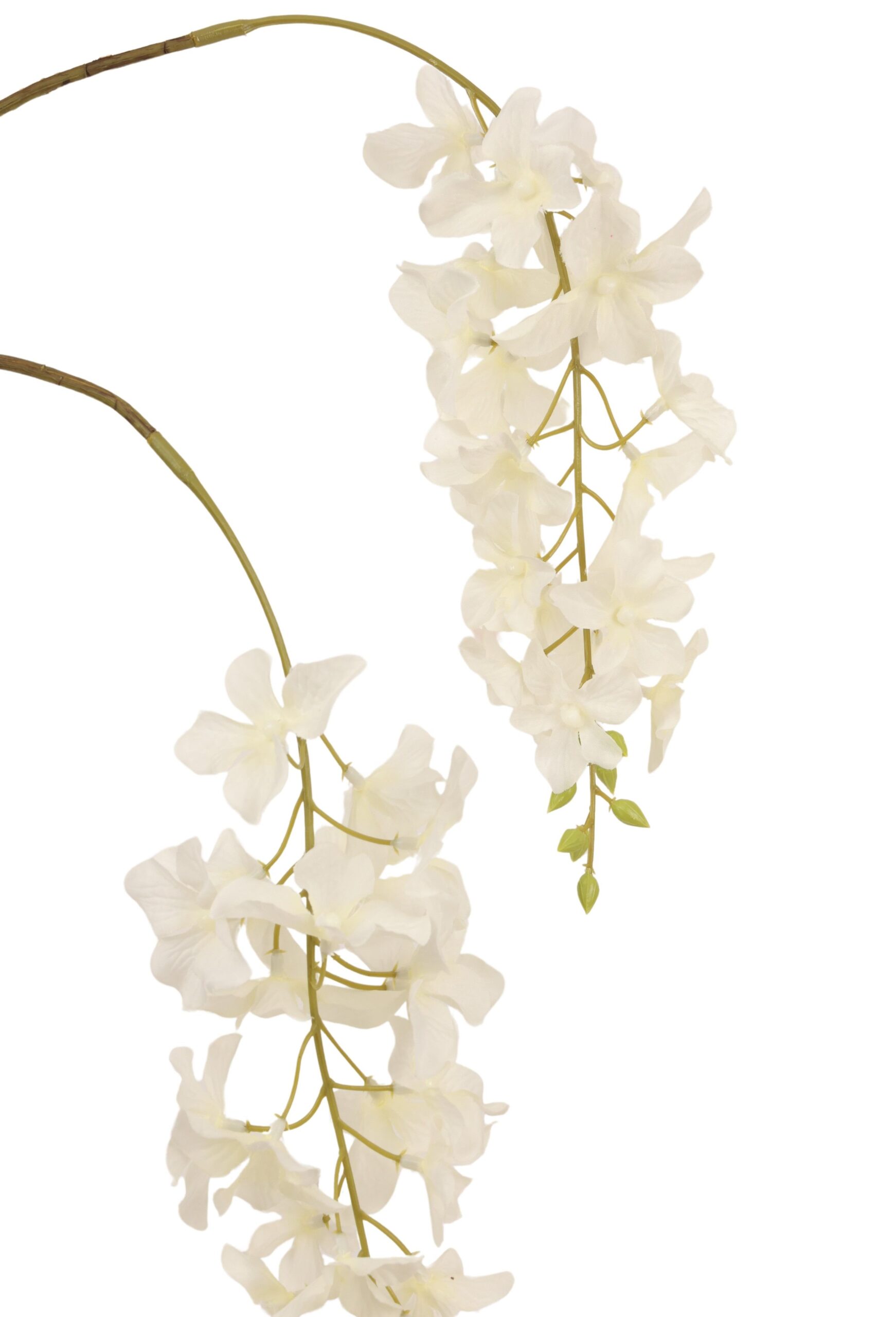 Wisteria tak x 3 110 cm crème, foto 2 van 2