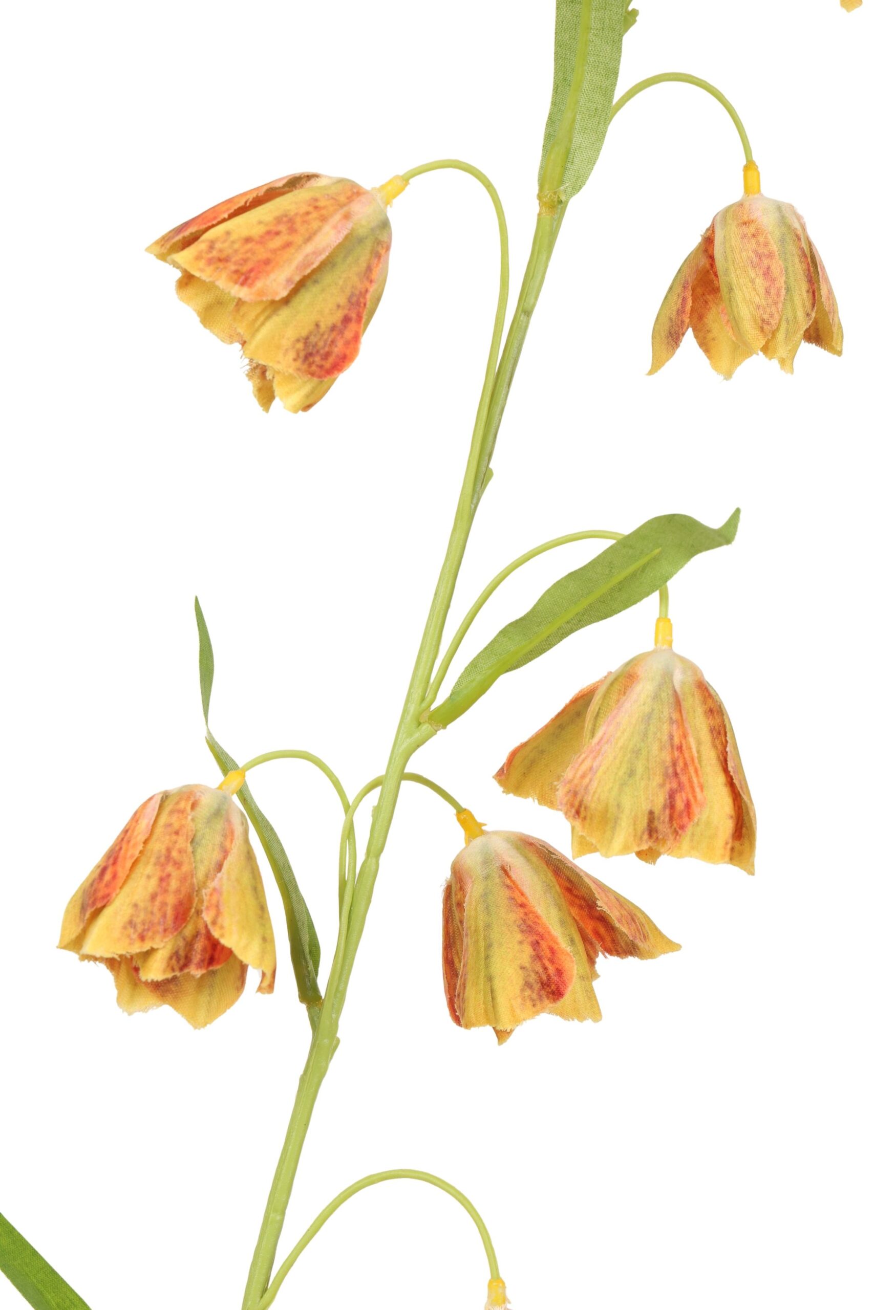 Frittularia tak 80 cm geel/groen, foto 2 van 2