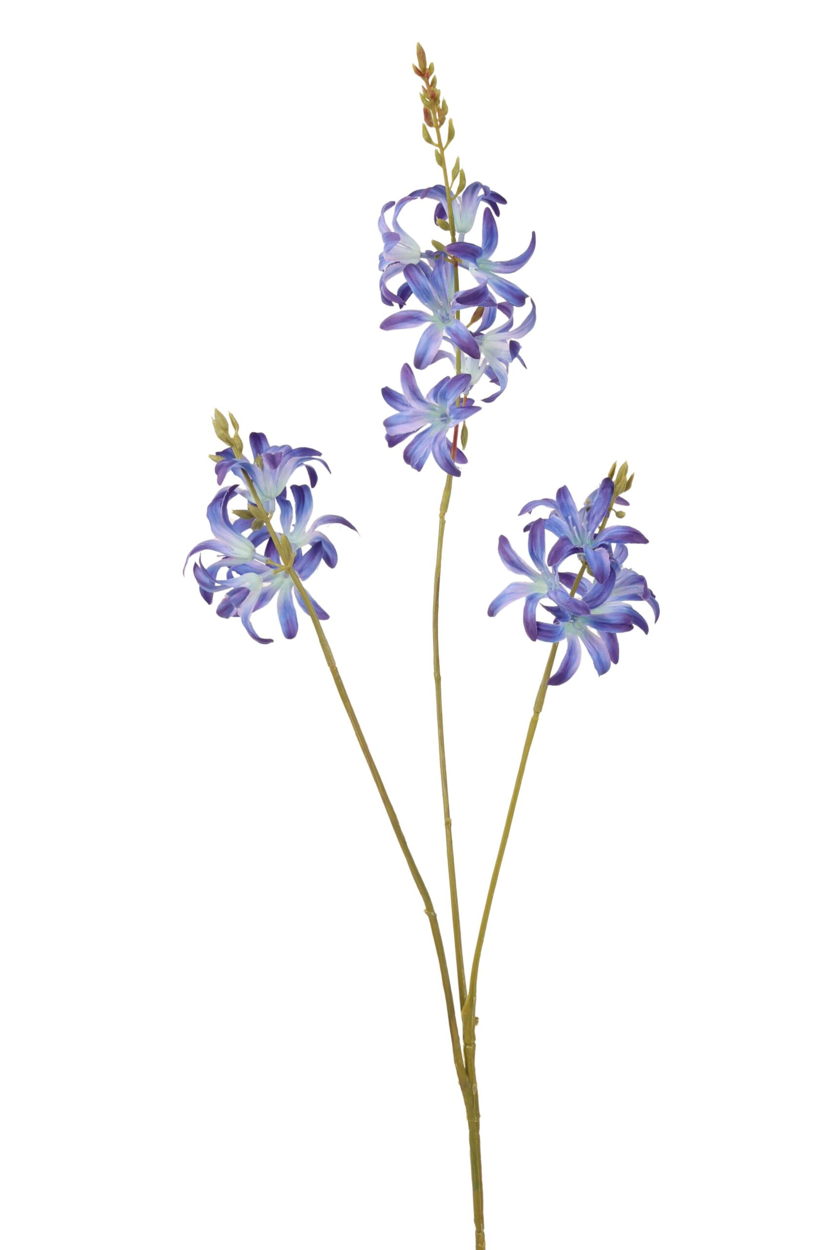 Camasia tak x 3 75 cm blauw/paars