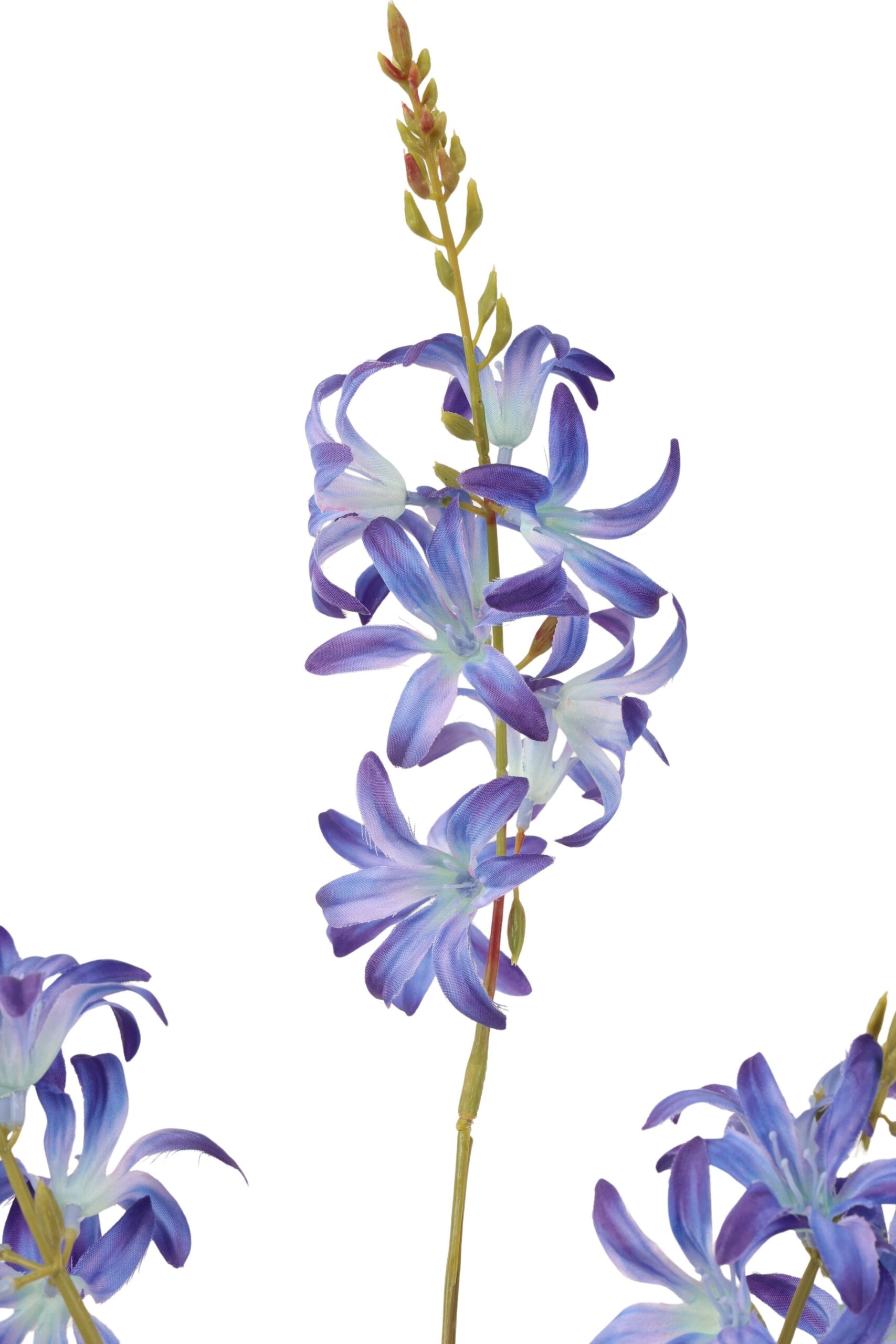 Camasia tak x 3 75 cm blauw/paars, foto 2 van 2
