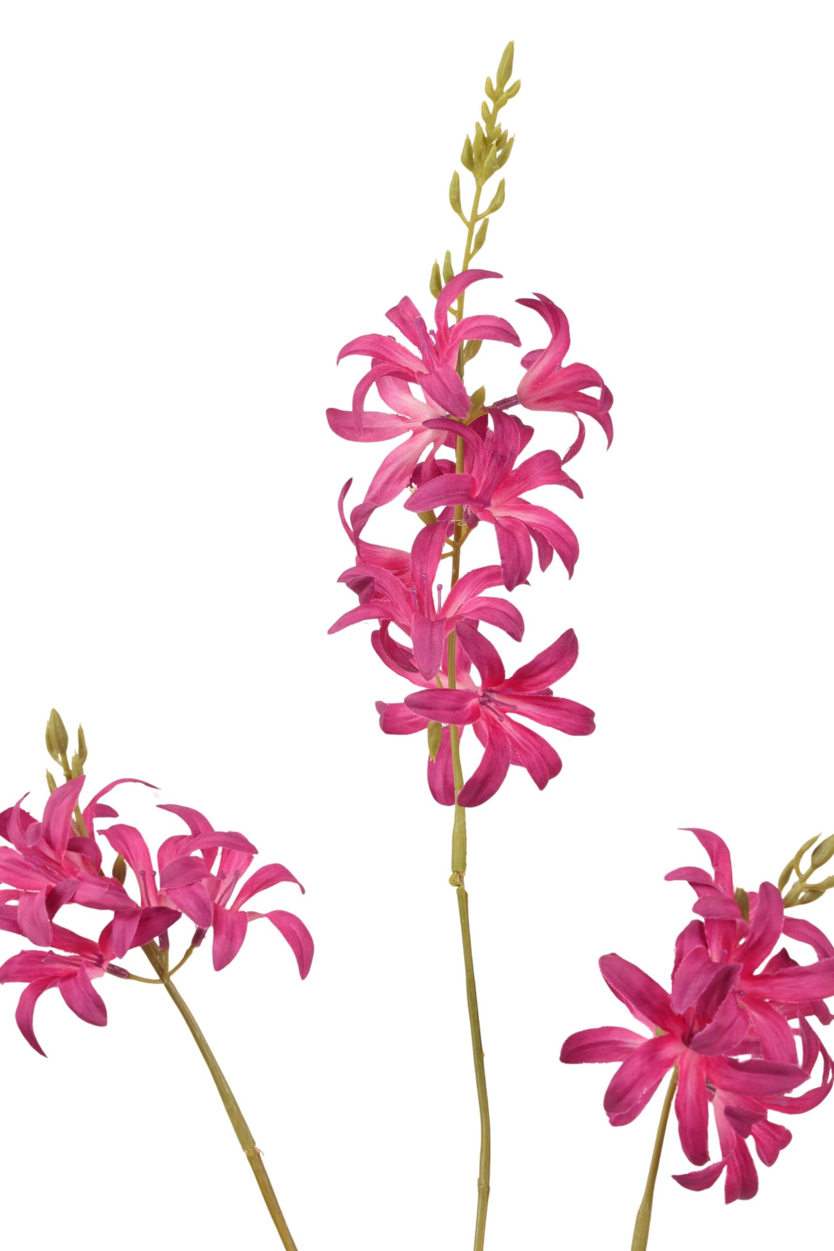 Camasia tak x 3 75 cm fuchsia, foto 2 van 2