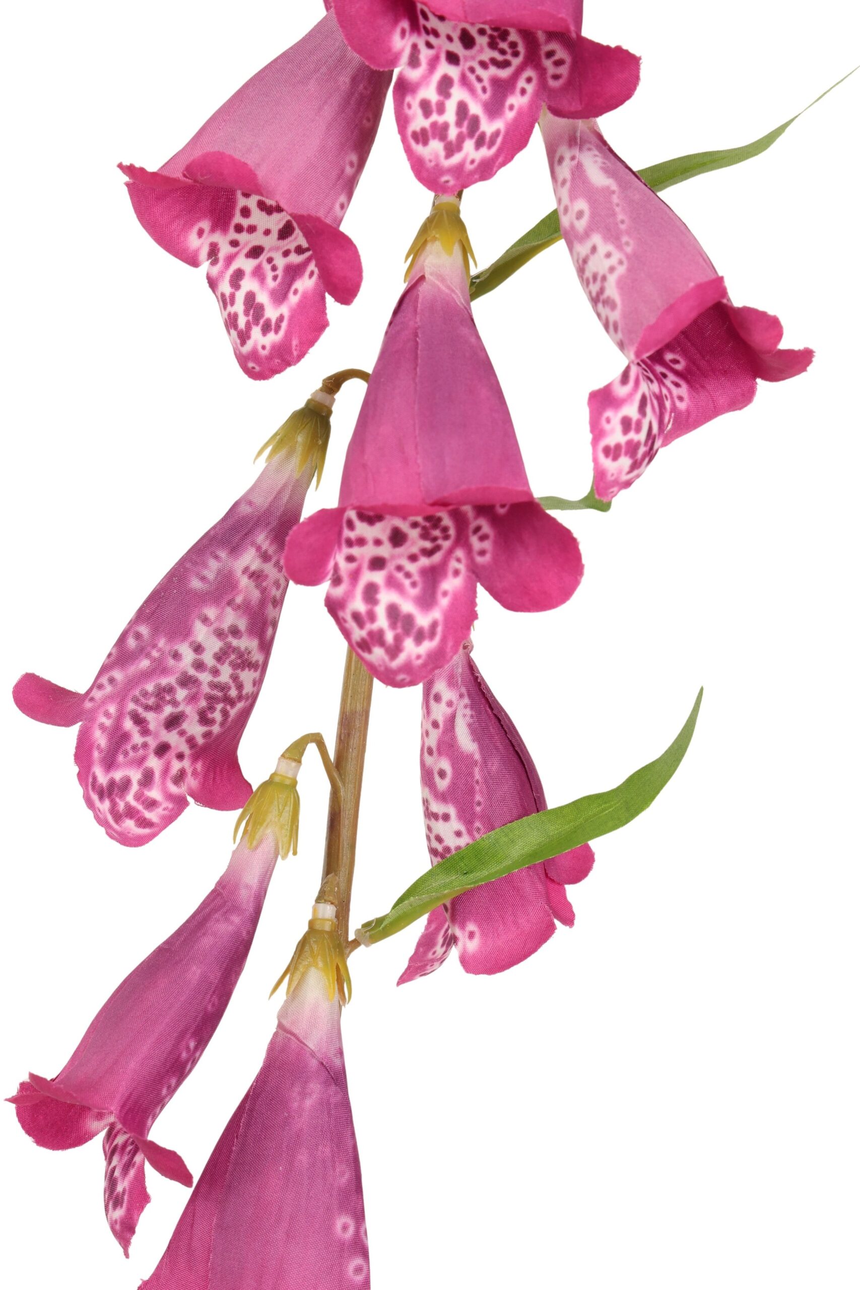 Vingerhoedskruid 108 cm fuchsia, foto 2 van 2