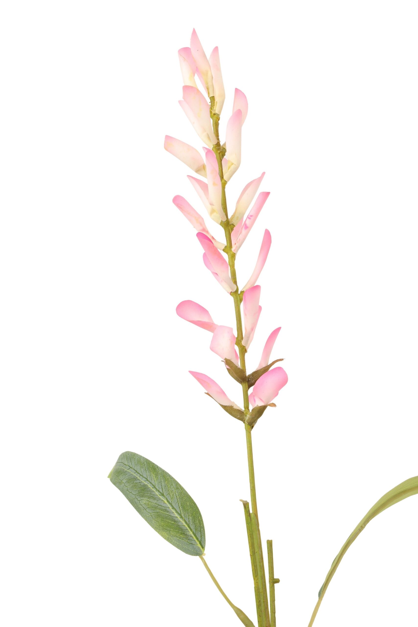 Heliconia tak x 1 89 cm roze, foto 2 van 2