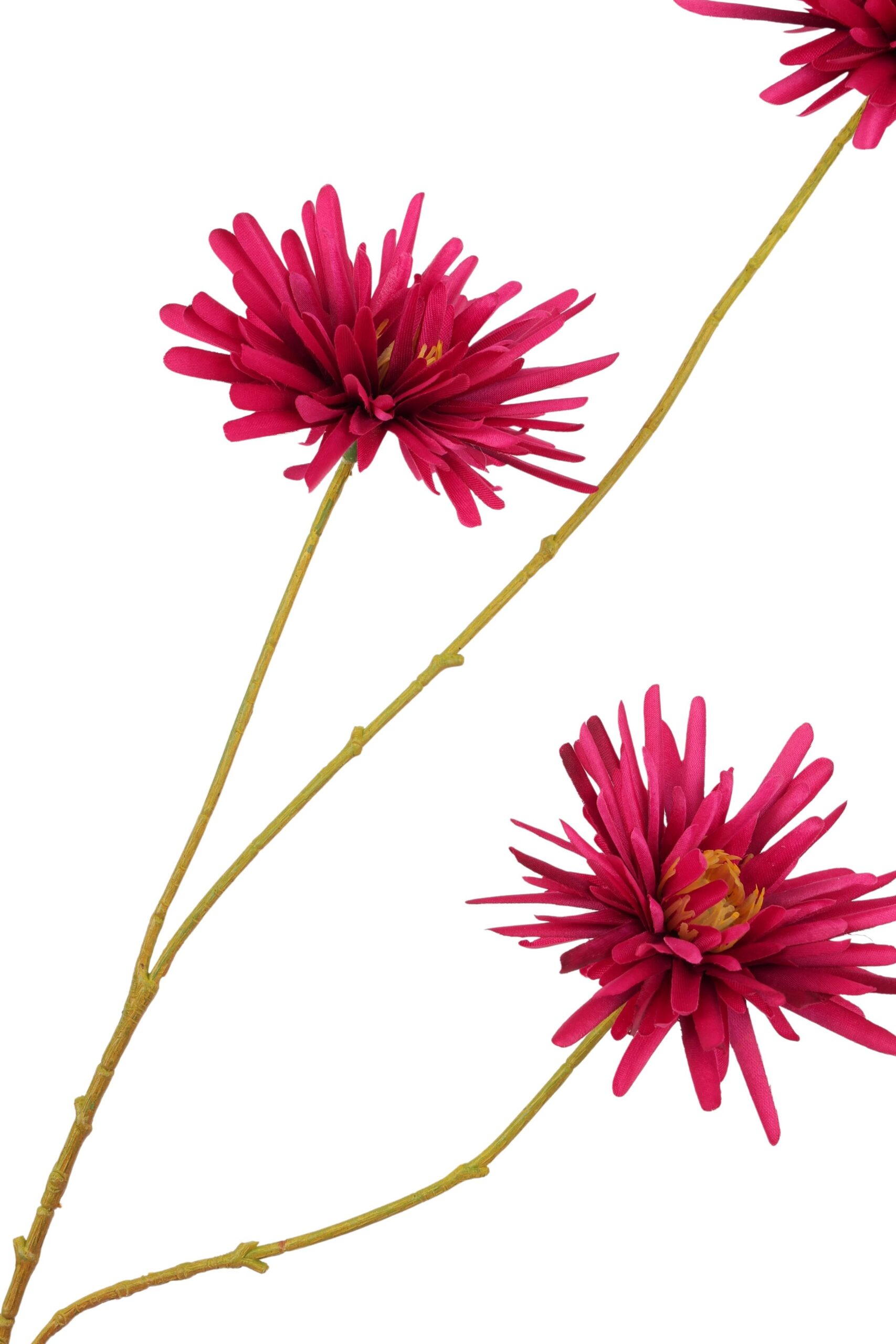Aster tak x 6 114 cm fuchsia, foto 2 van 2