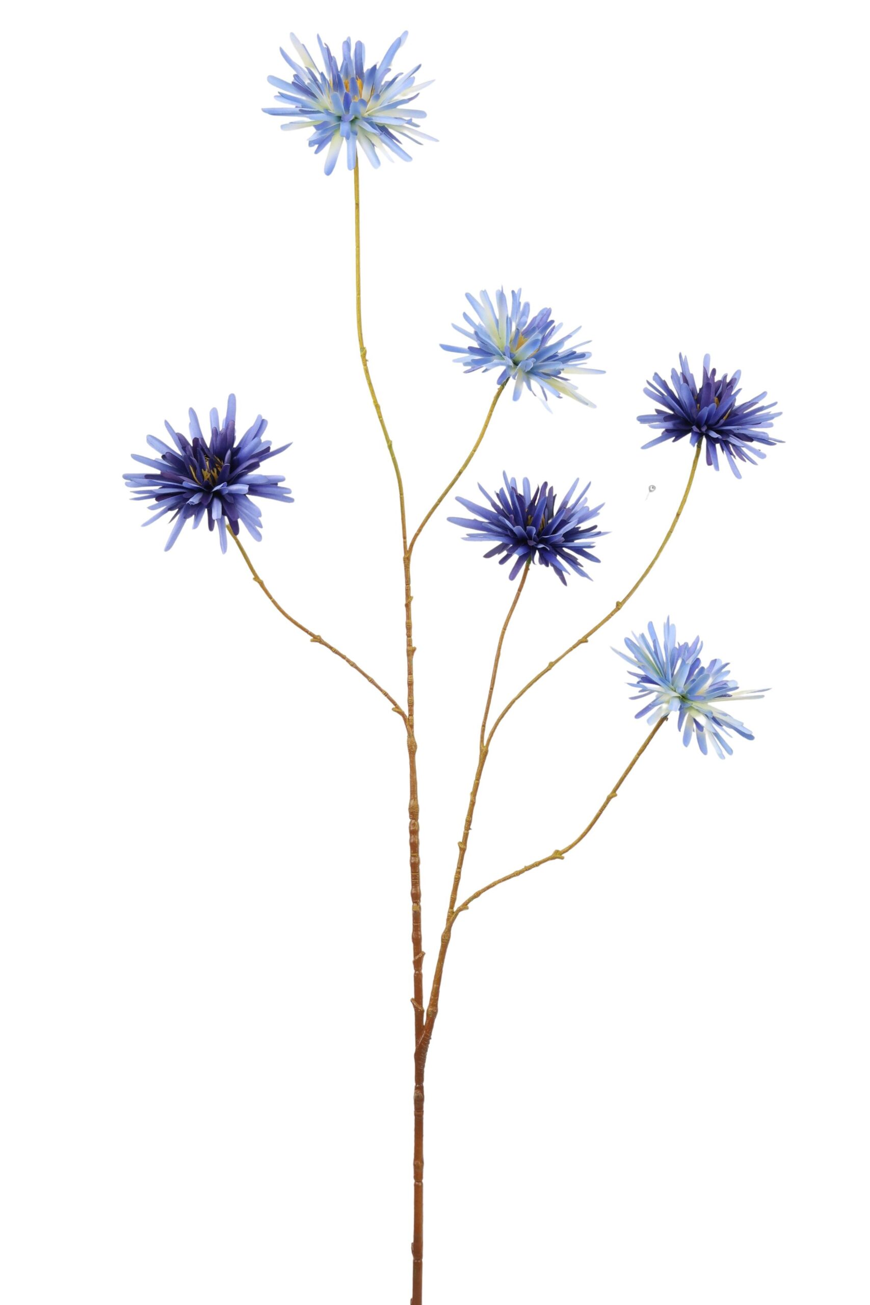 Aster tak x 6 114 cm blauw