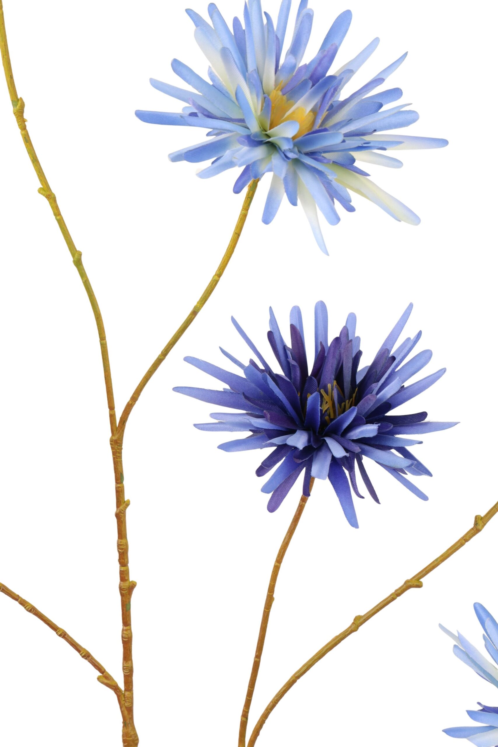 Aster tak x 6 114 cm blauw, foto 2 van 2