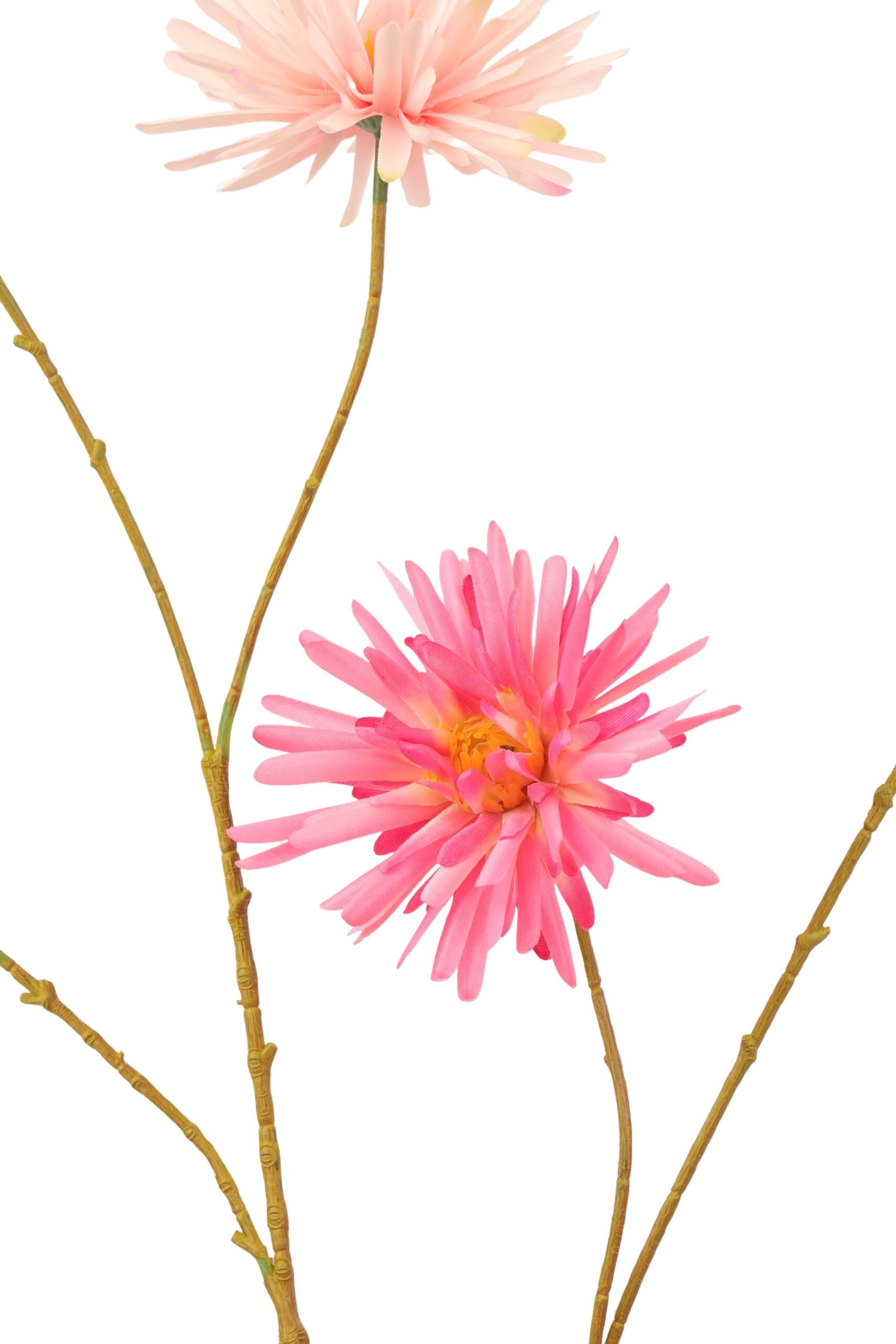 Aster tak x 6 114 cm roze mix, foto 2 van 2