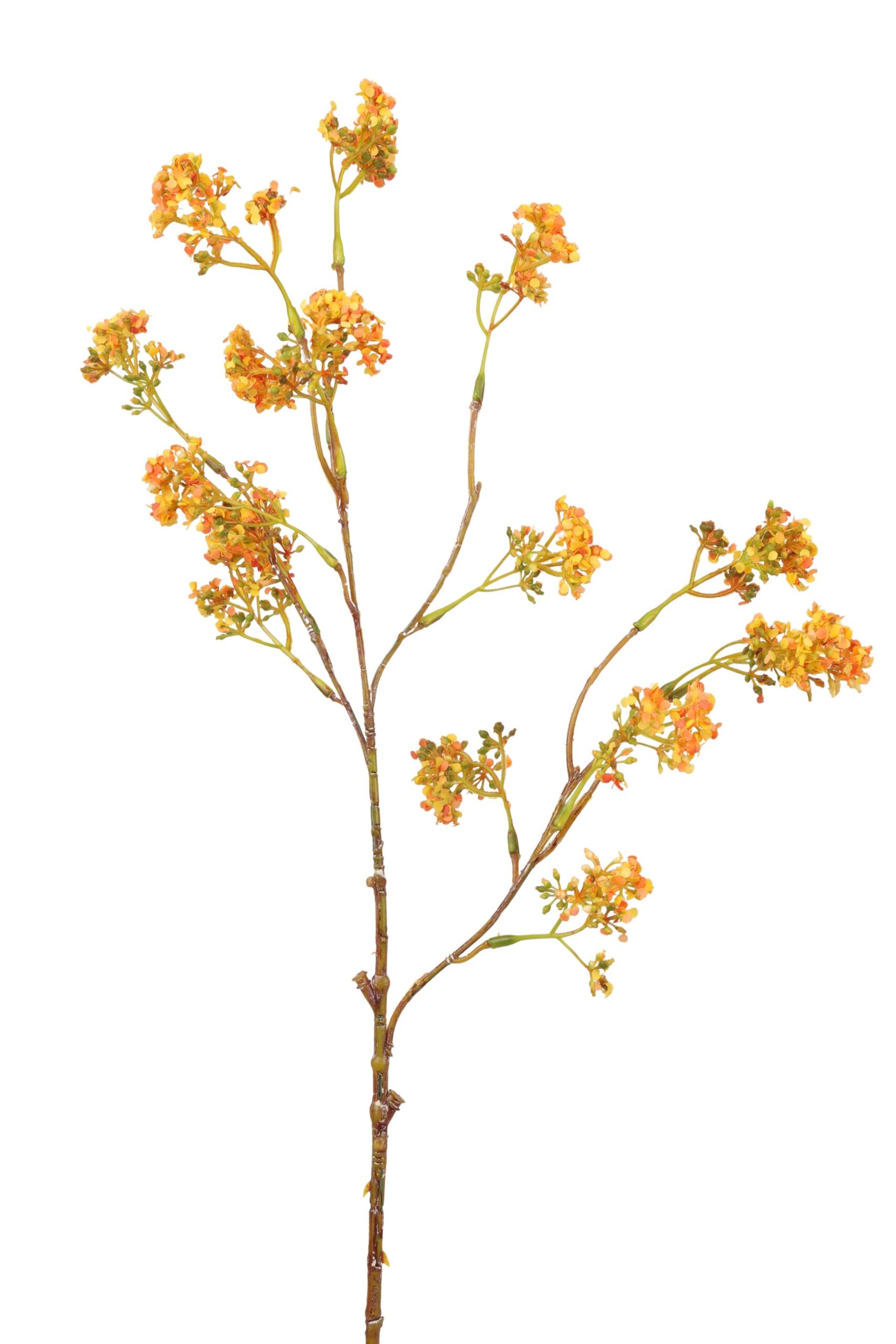 Spyrea tak 75 cm geel/oranje