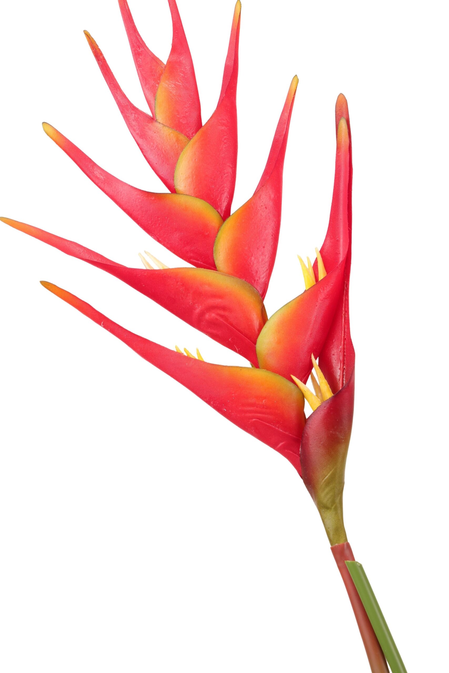 Heliconia tak 91 cm rood, foto 2 van 2