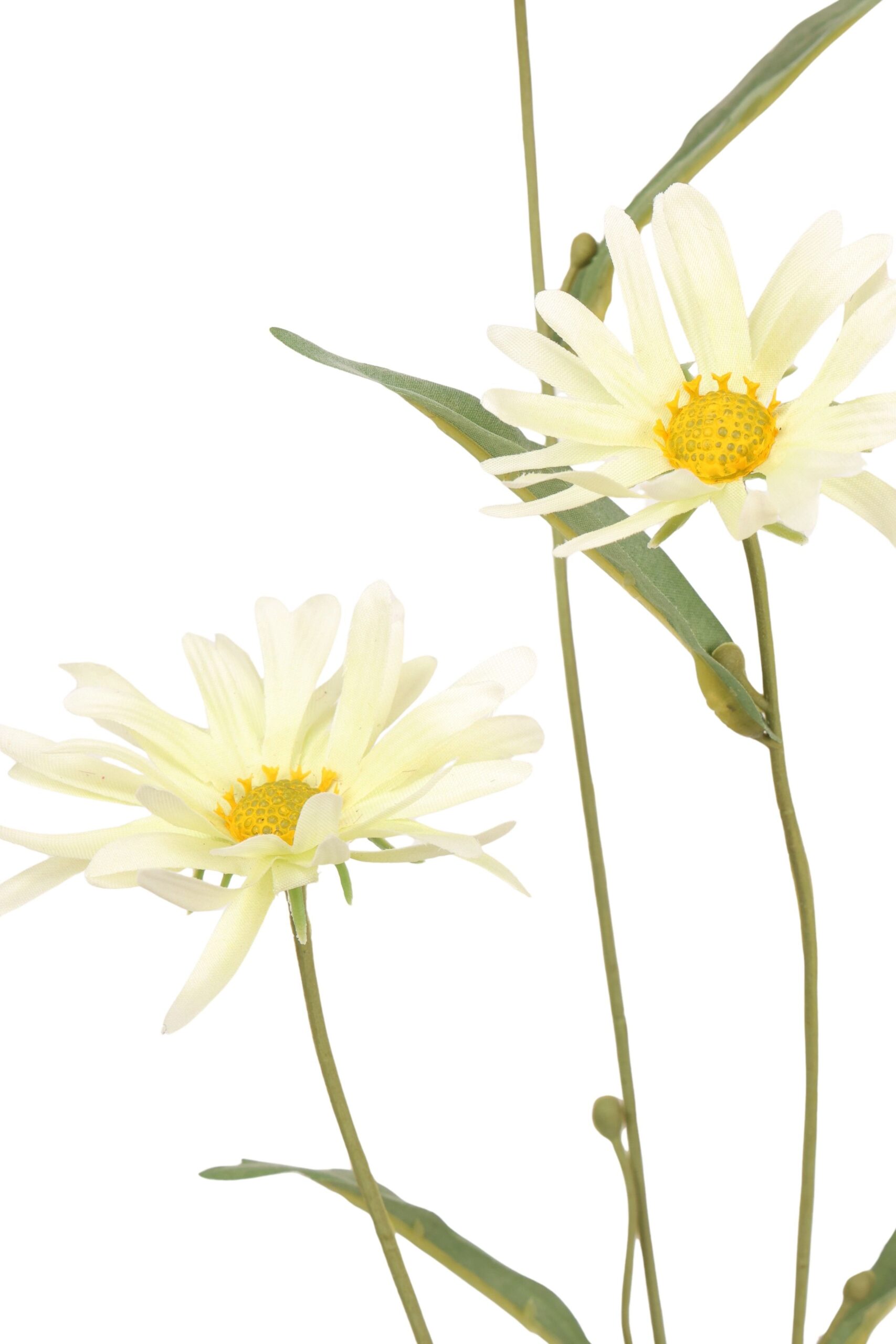 Margriet tak x 4 70 cm groen, foto 2 van 2