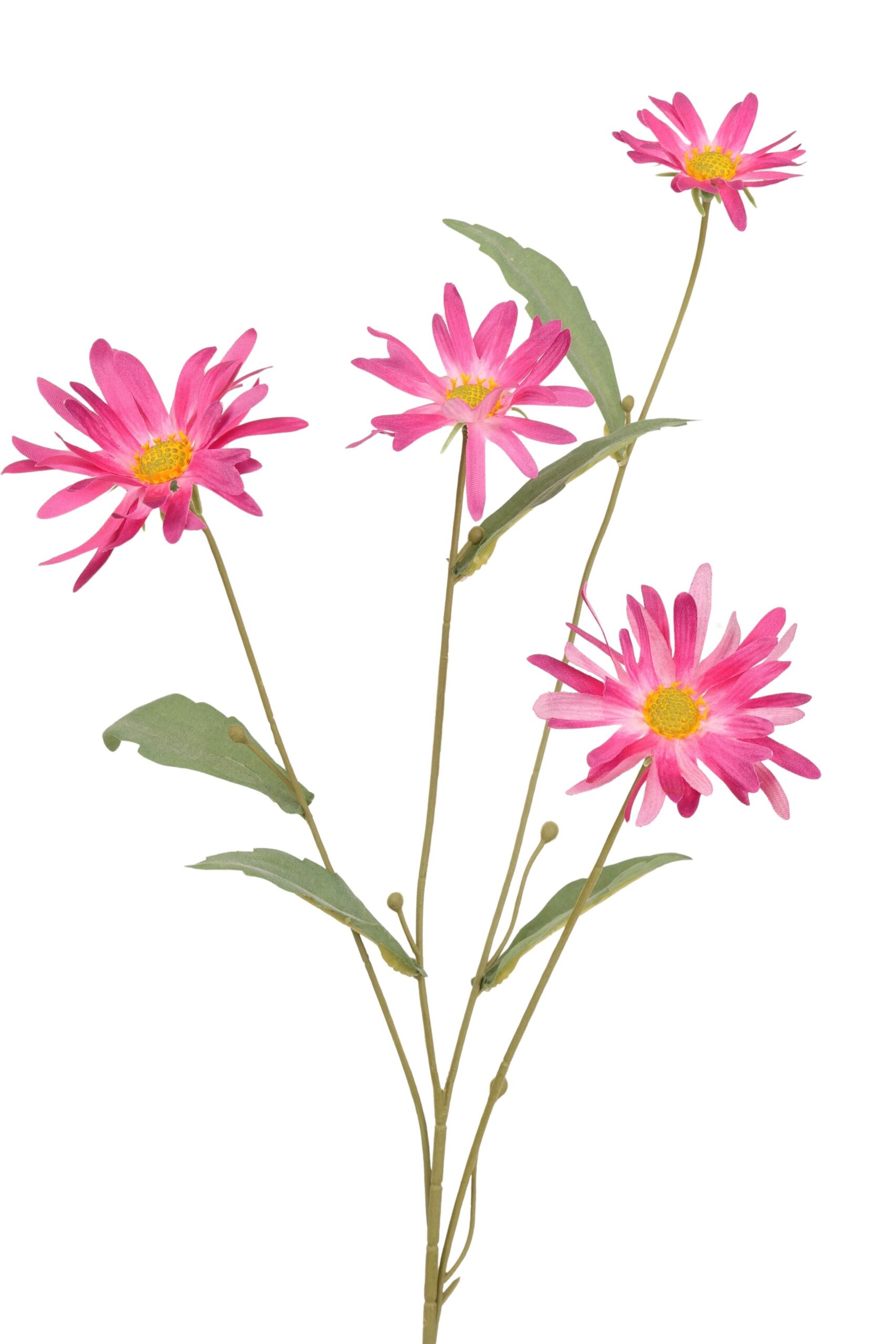 Margriet tak x 4 70 cm beauty