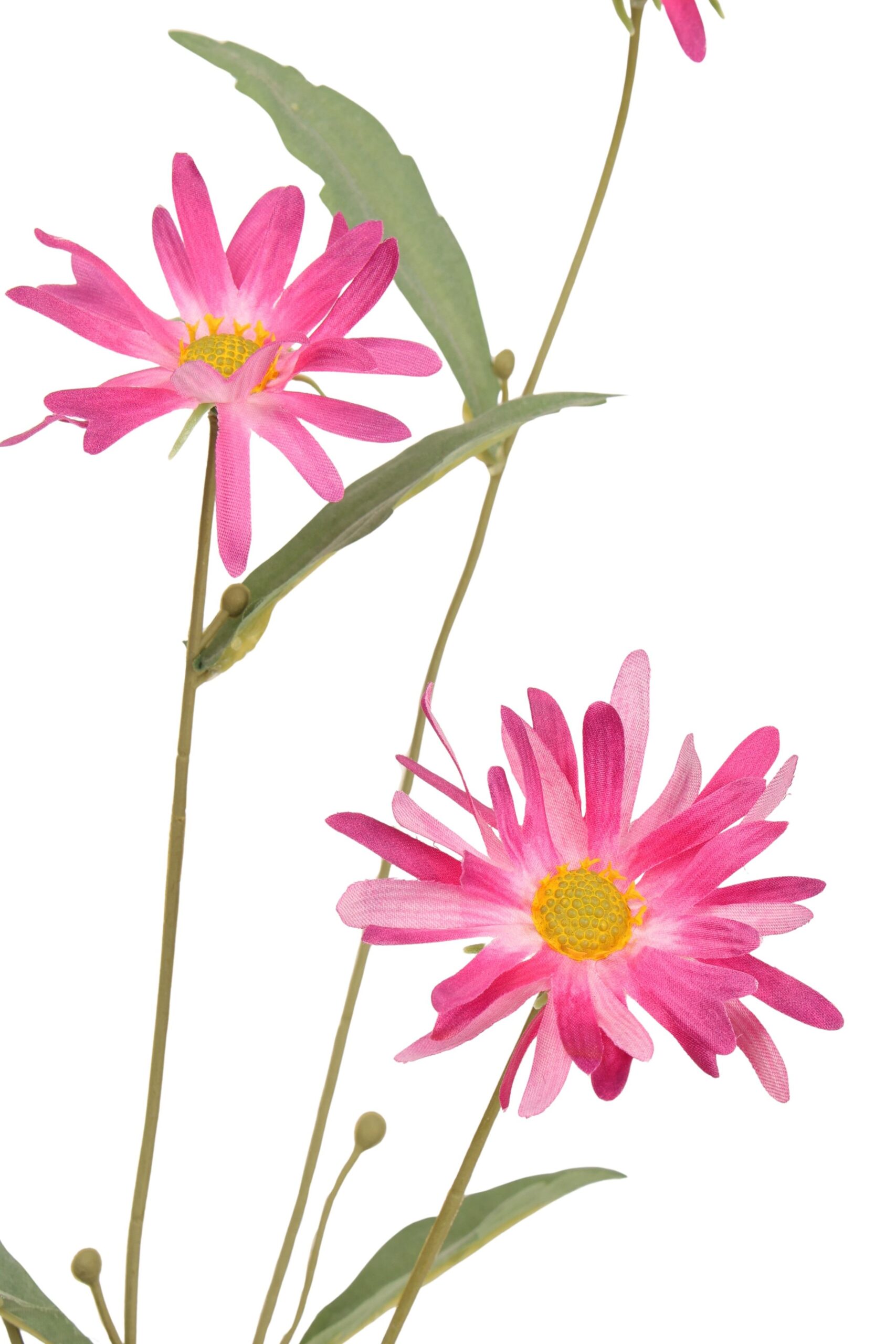 Margriet tak x 4 70 cm beauty, foto 2 van 2