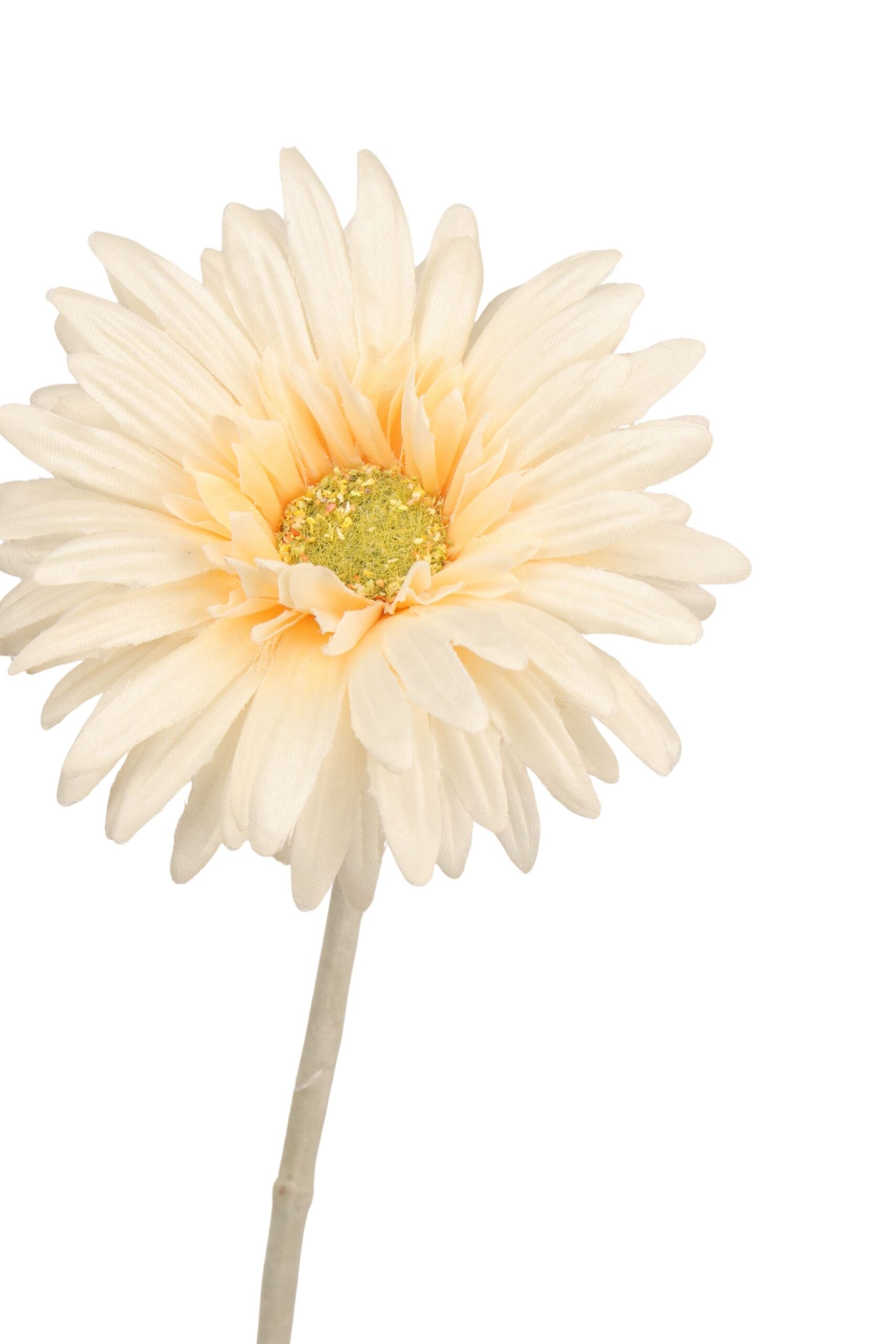 Gerbera 55 cm crème, foto 2 van 2