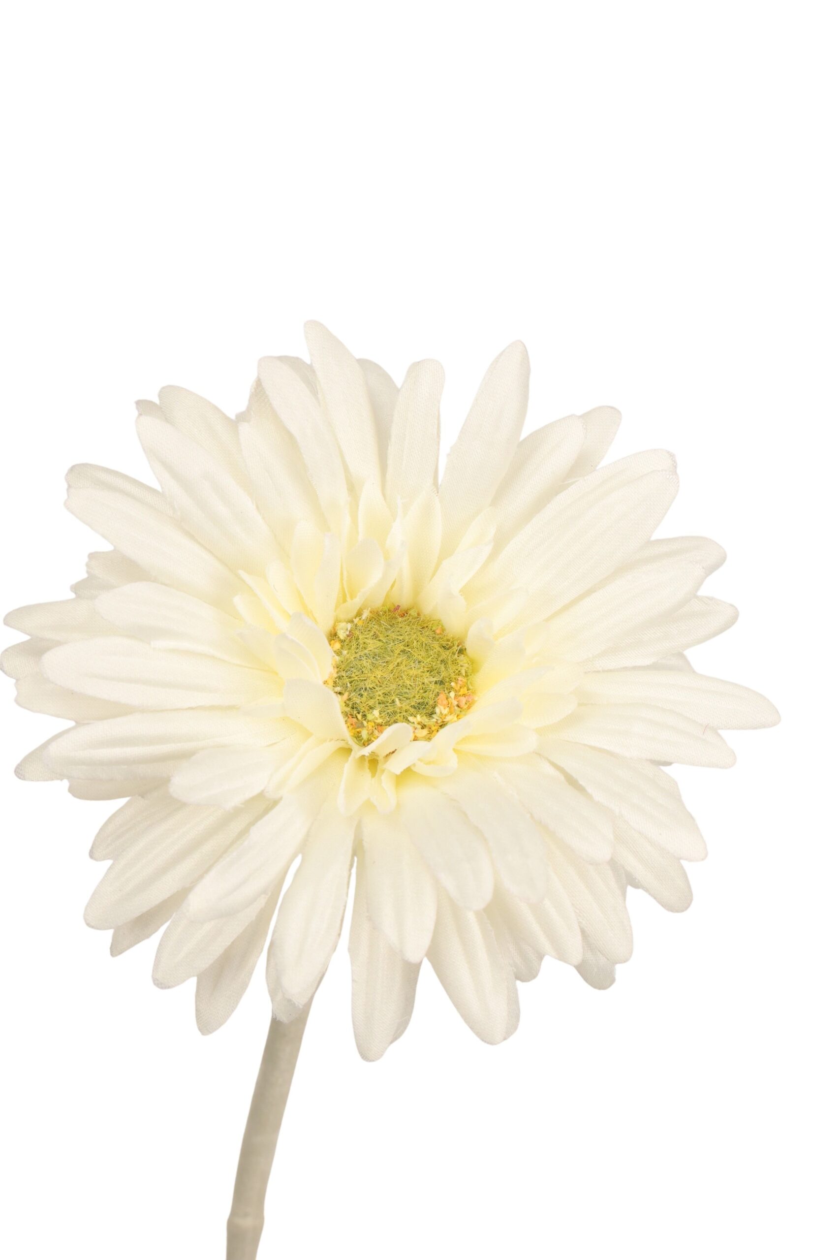 Gerbera 55 cm wit/groen, foto 2 van 2
