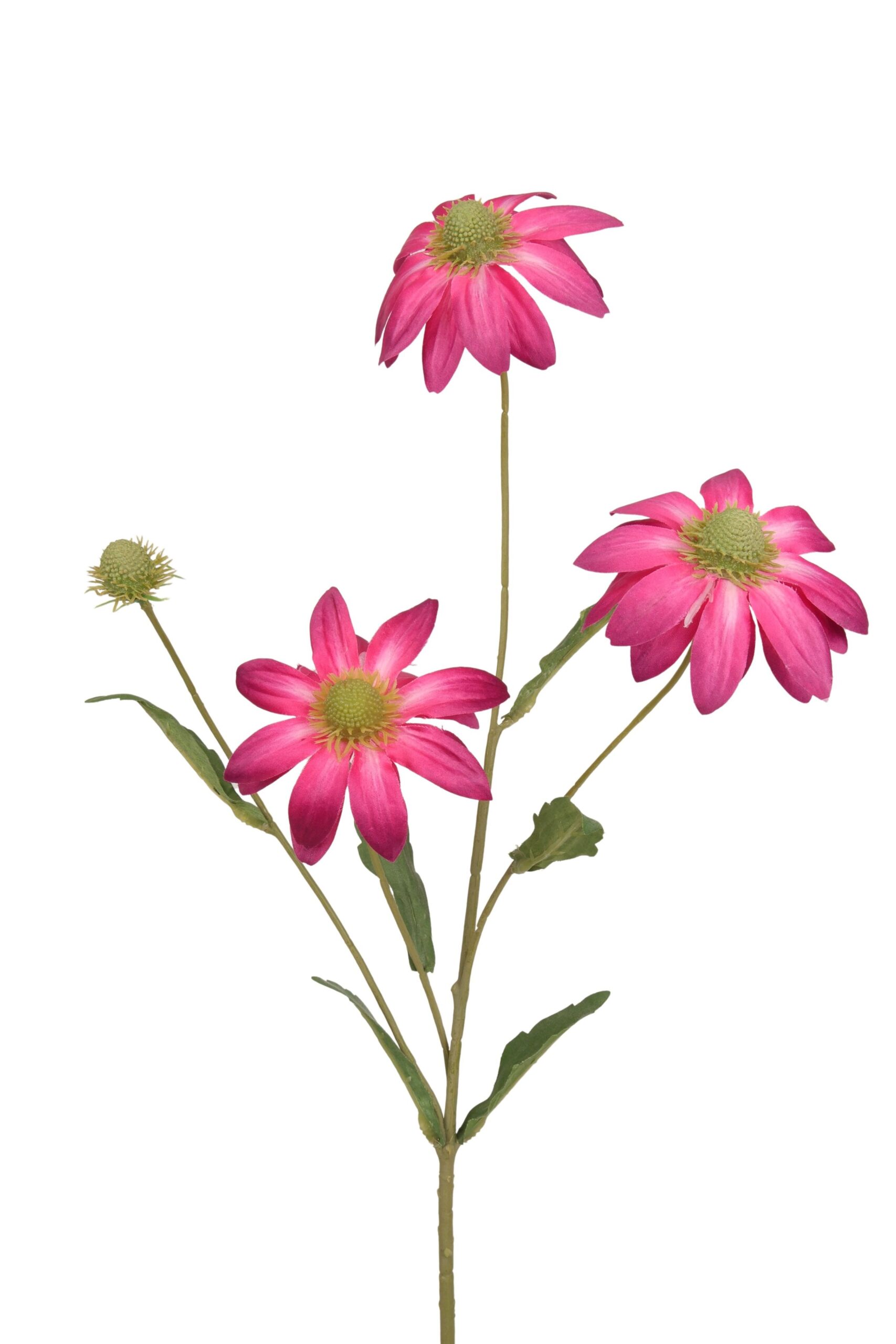 Rudbeckia tak x 3 en knop 68 cm cerise