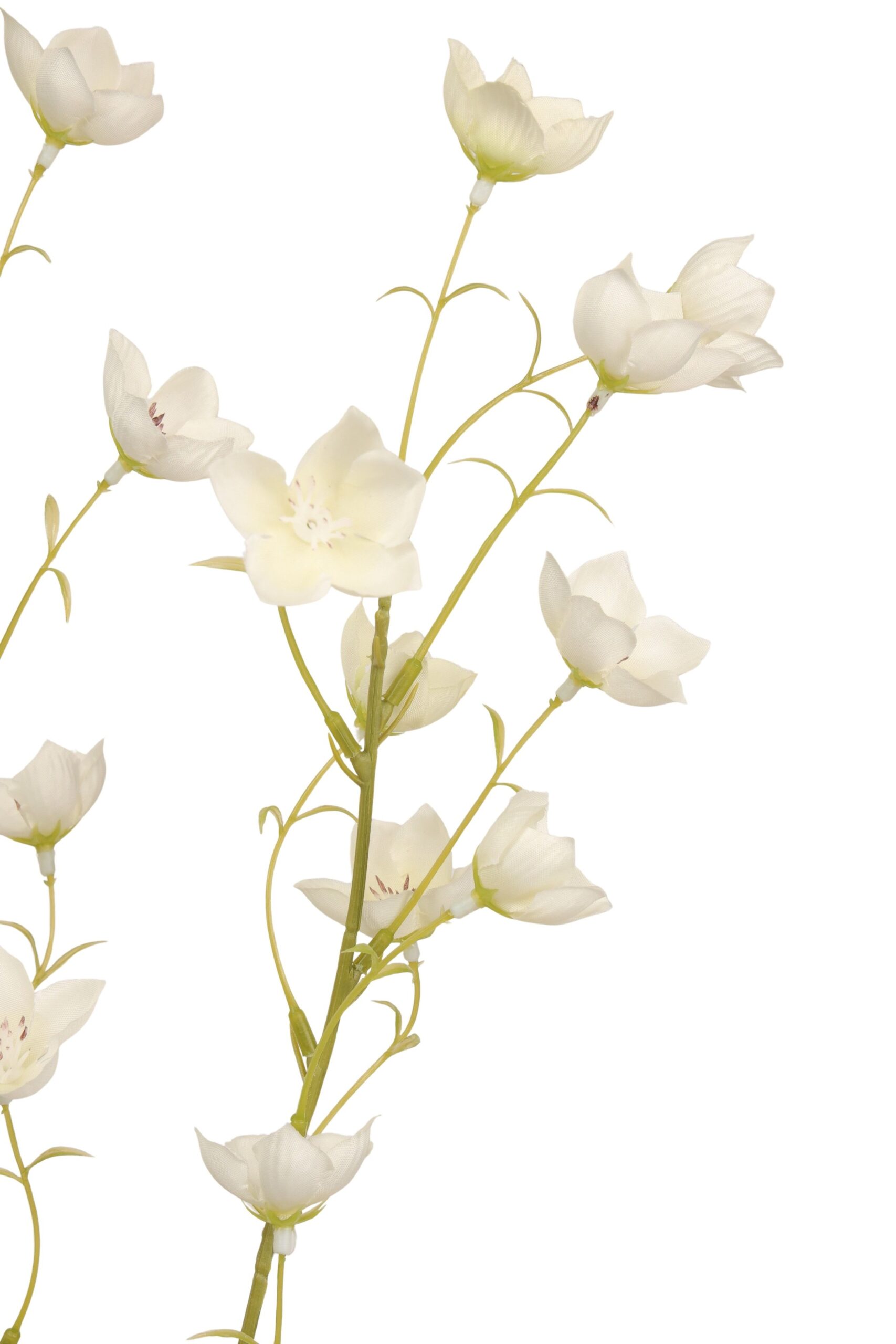 Campanula tak x 2 94 cm wit, foto 2 van 2