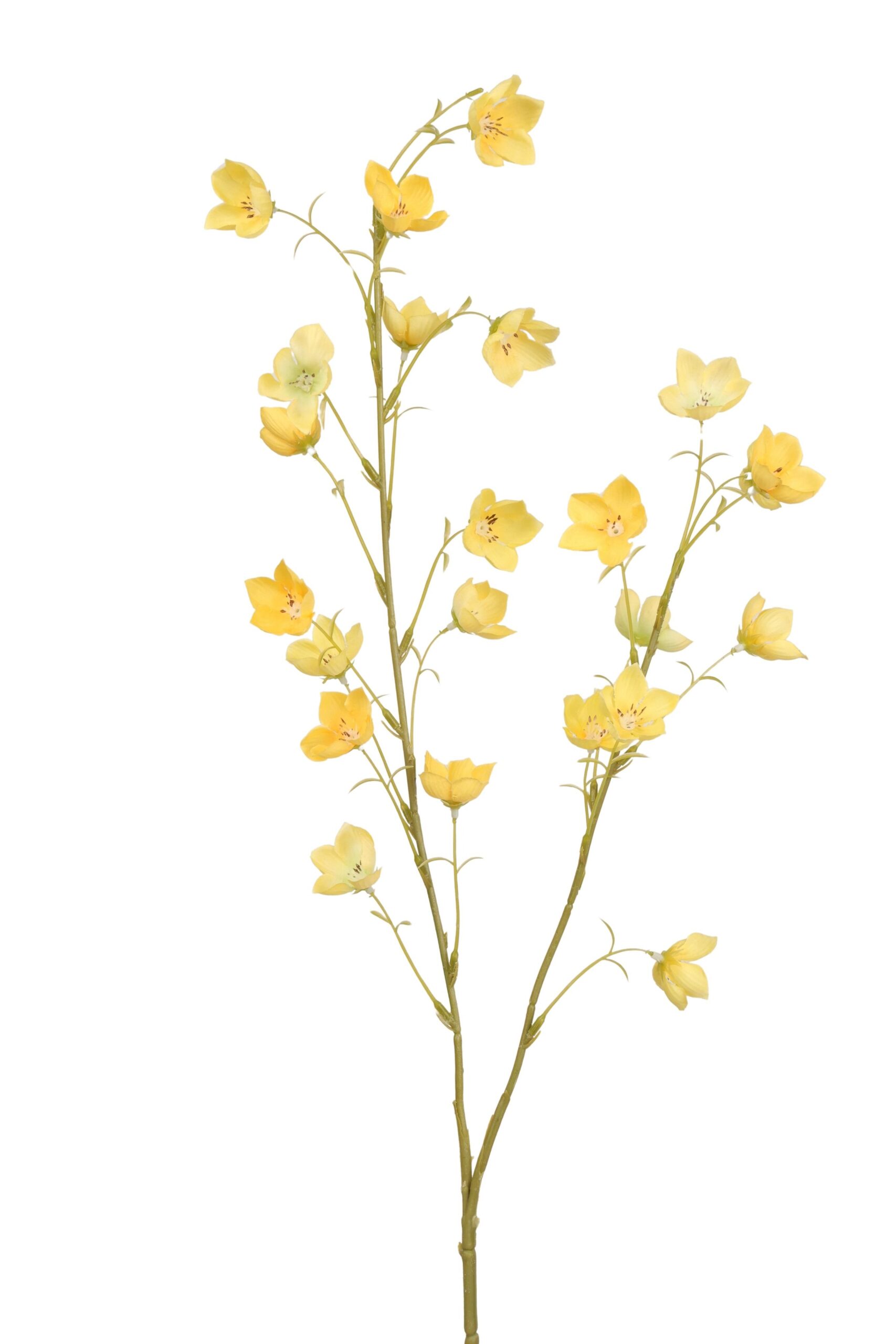 Campanula tak x 2 94 cm geel