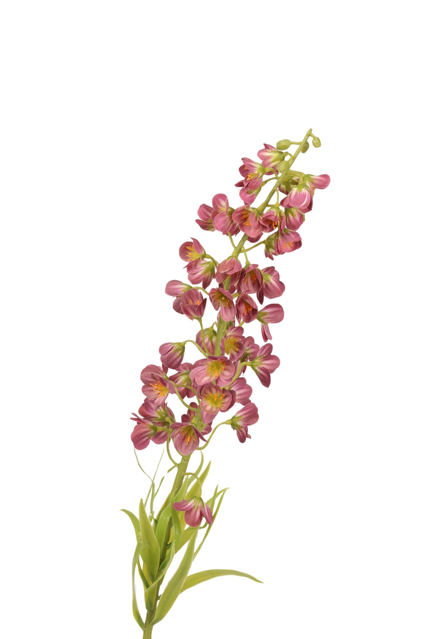Frittularia tak 75 cm bordeaux