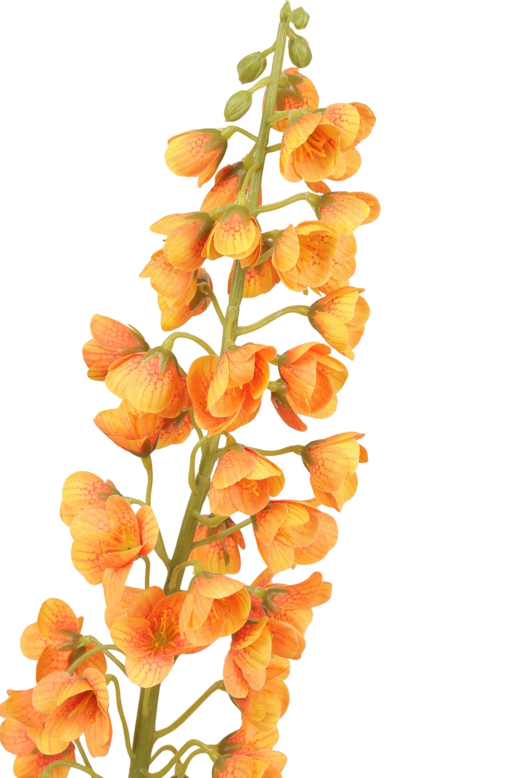 Frittularia tak 75 cm oranje, foto 2 van 2