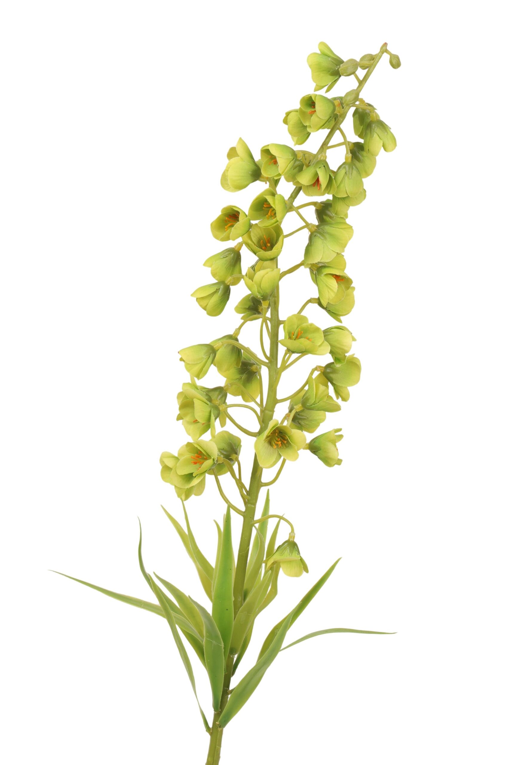 Frittularia tak 75 cm groen