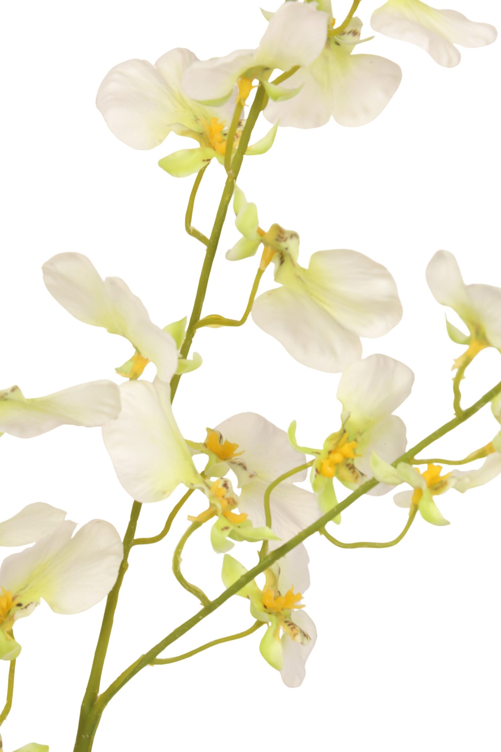 Tijgerorchidee real touch 93 cm wit/groen, foto 2 van 2