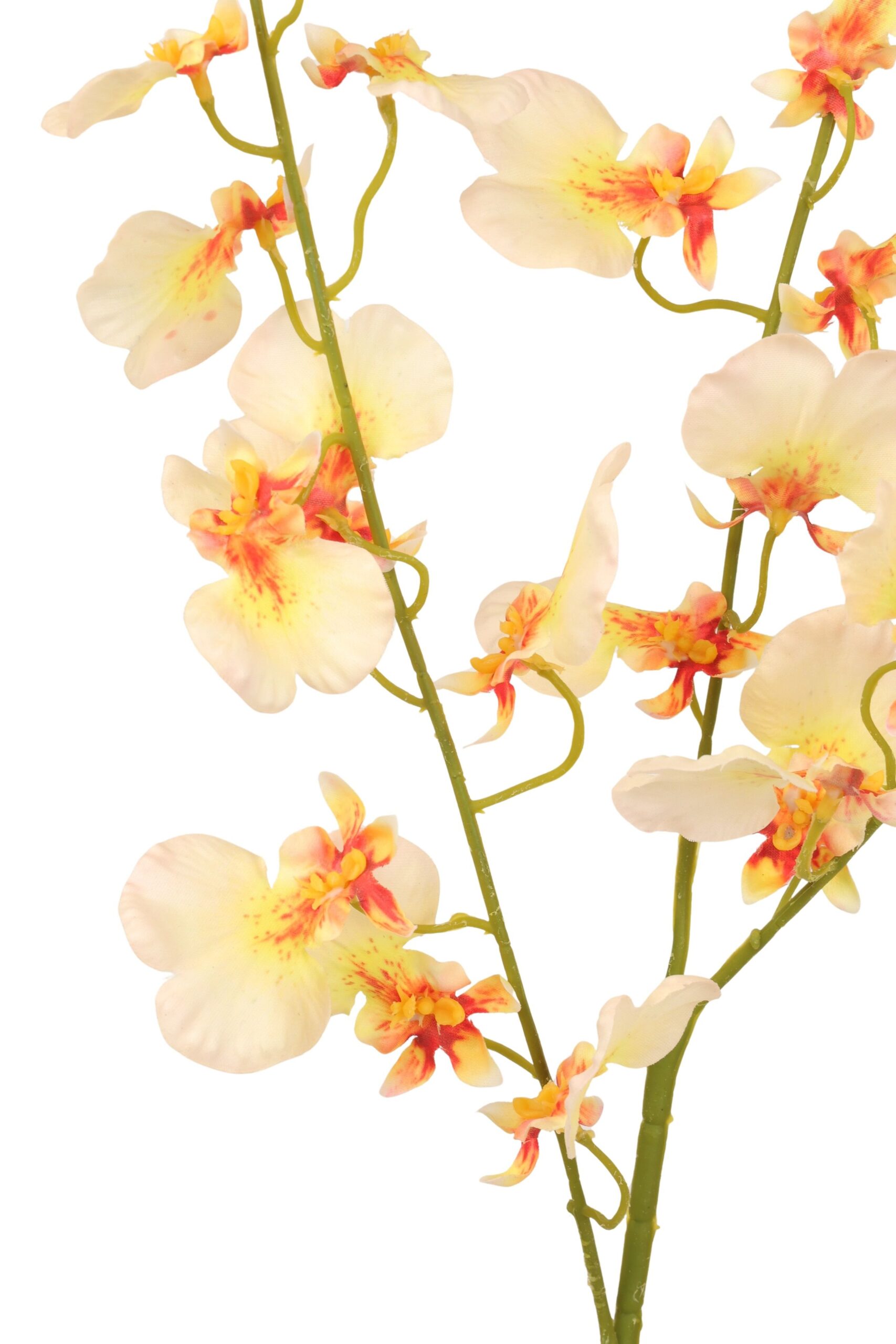 Tijgerorchidee real touch 93 cm lichtgeel, foto 2 van 2