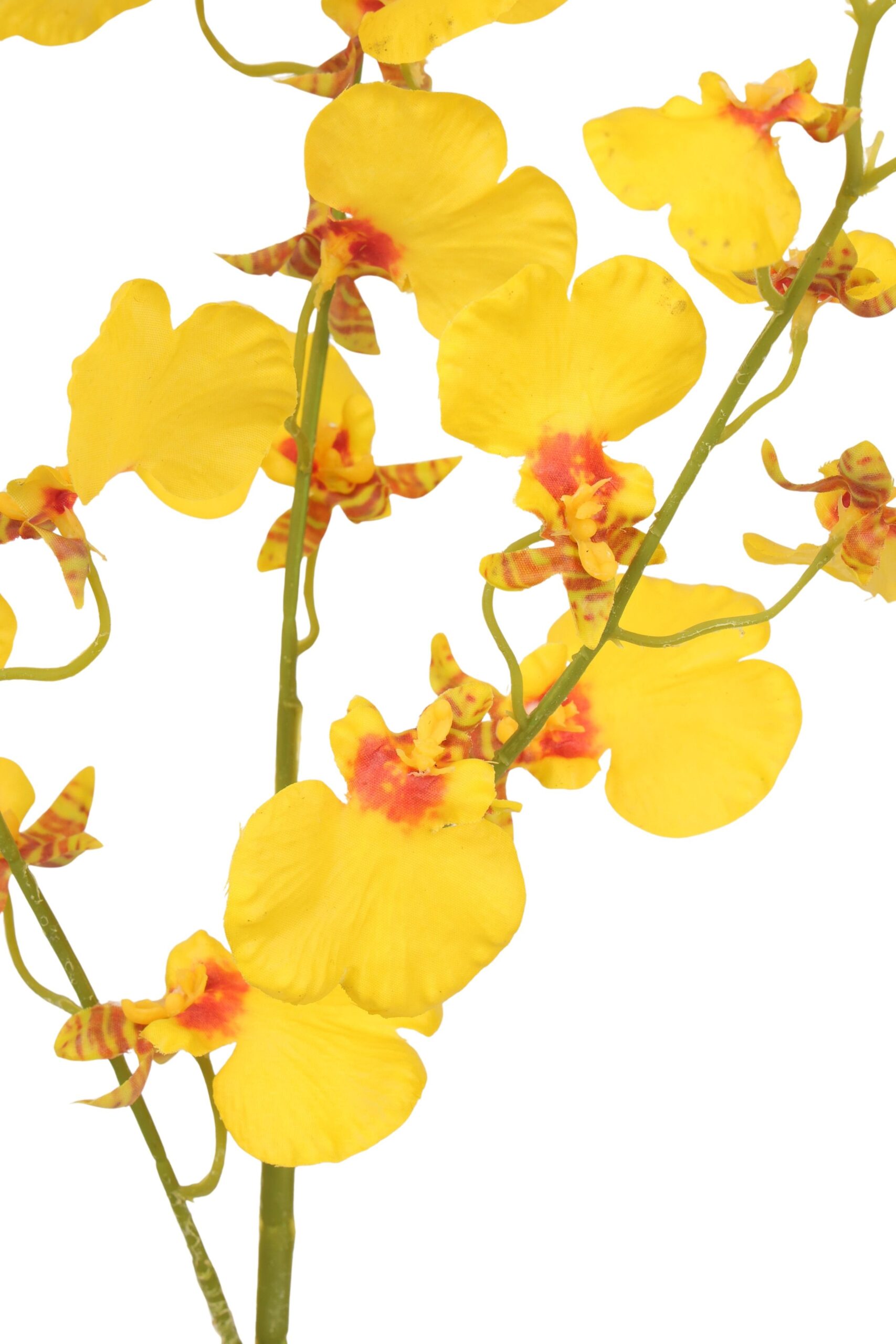 Tijgerorchidee real touch 93 cm geel, foto 2 van 2