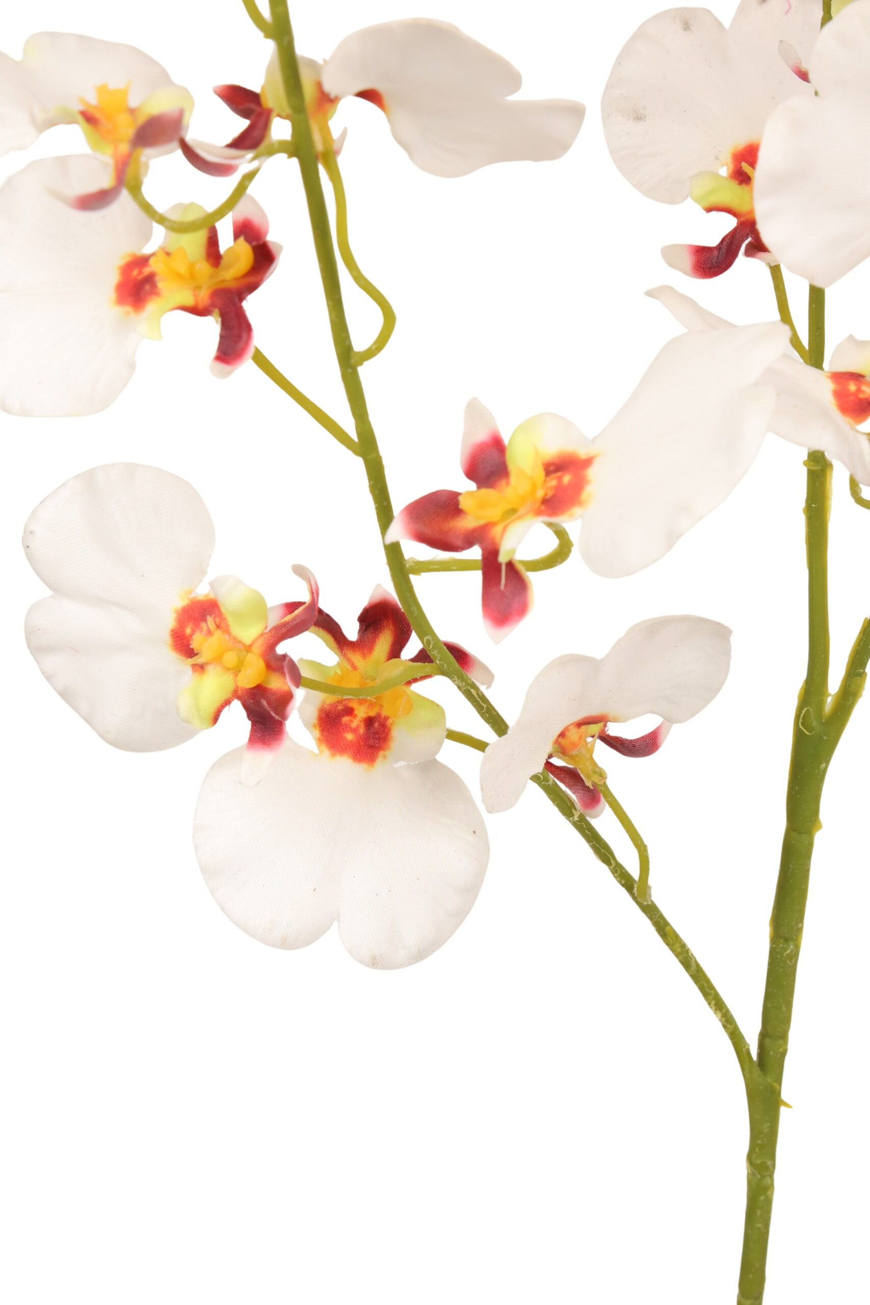 Tijgerorchidee real touch 93 cm wit, foto 2 van 2
