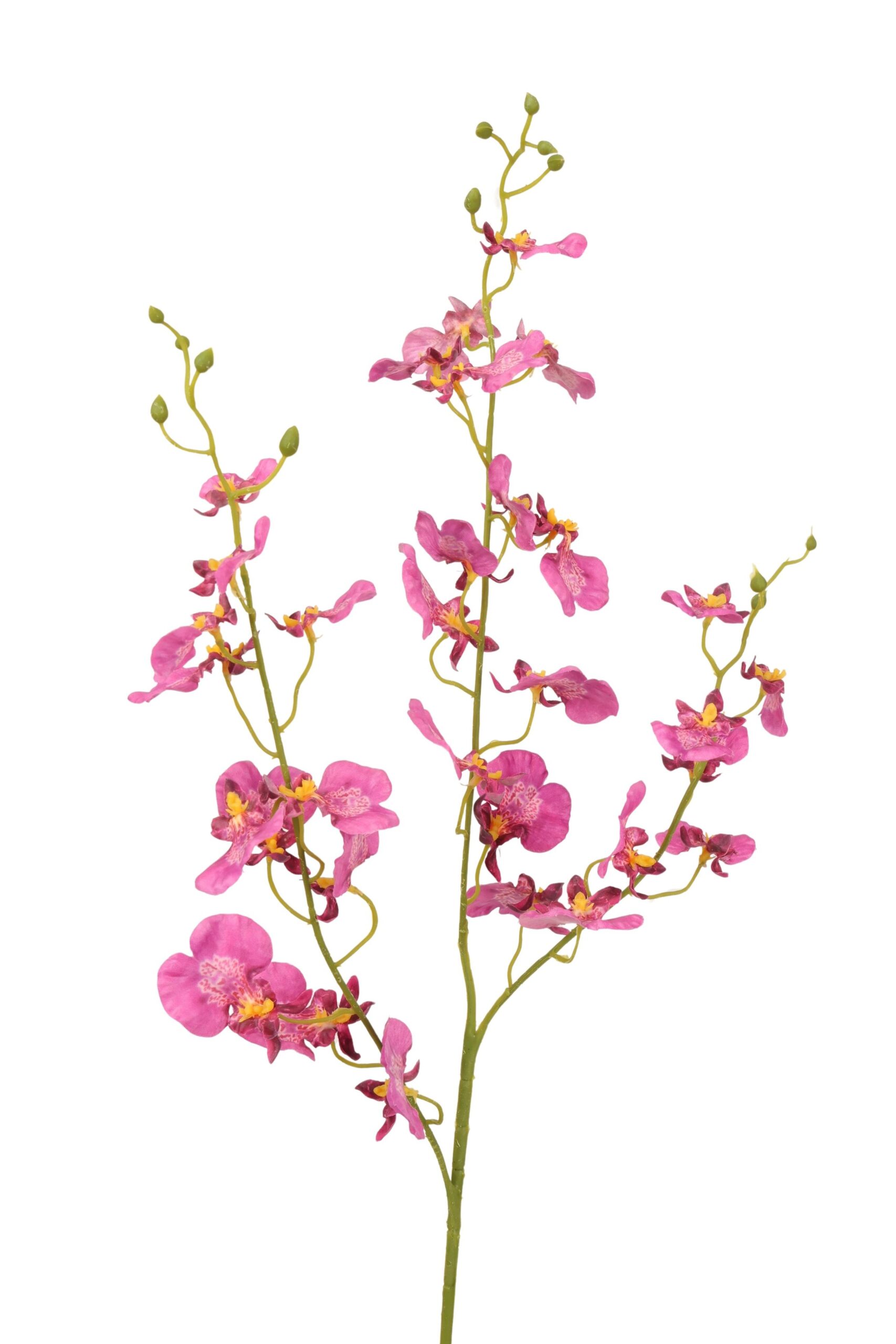 Tijgerorchidee real touch 93 cm fuchsia