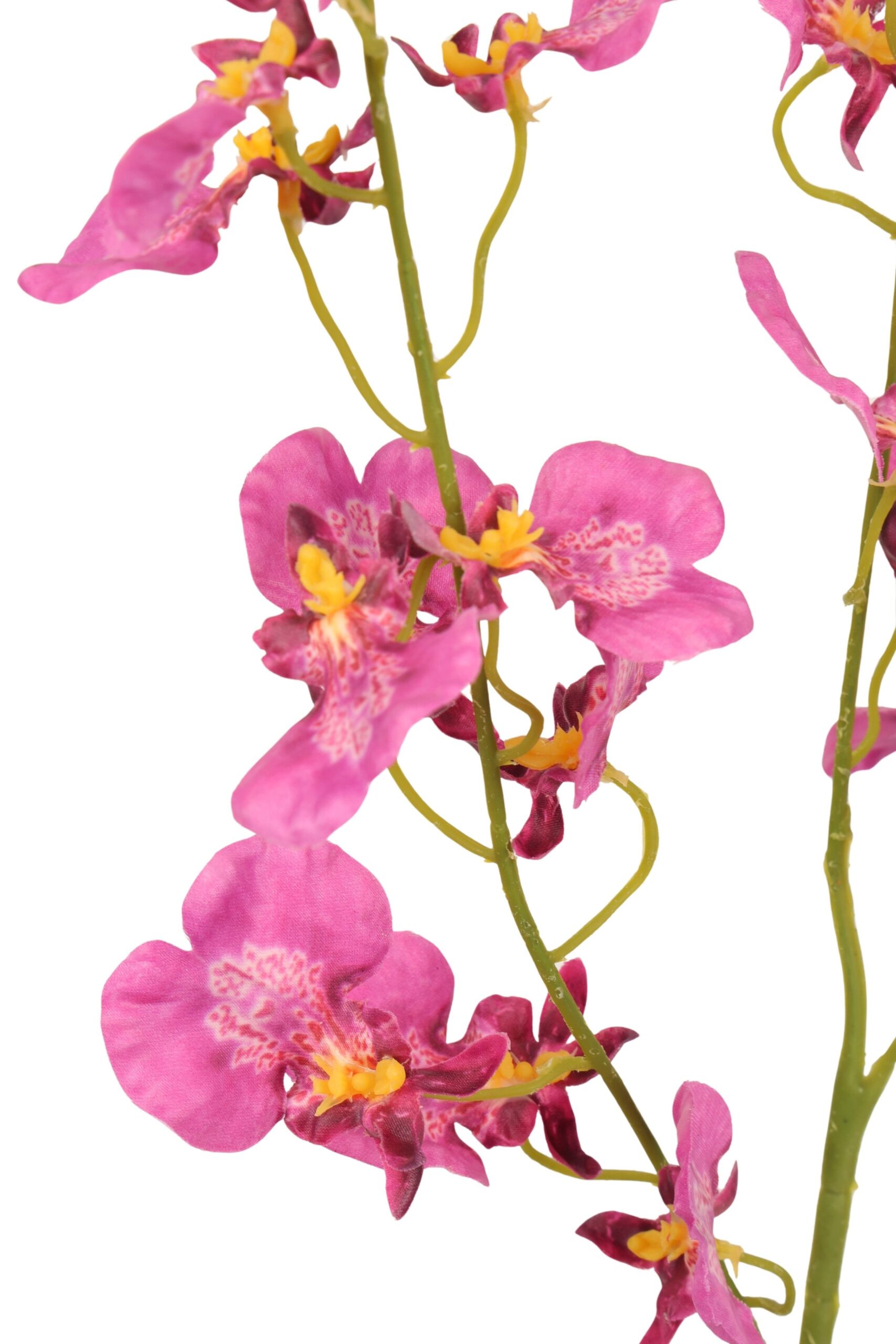 Tijgerorchidee real touch 93 cm fuchsia, foto 2 van 2