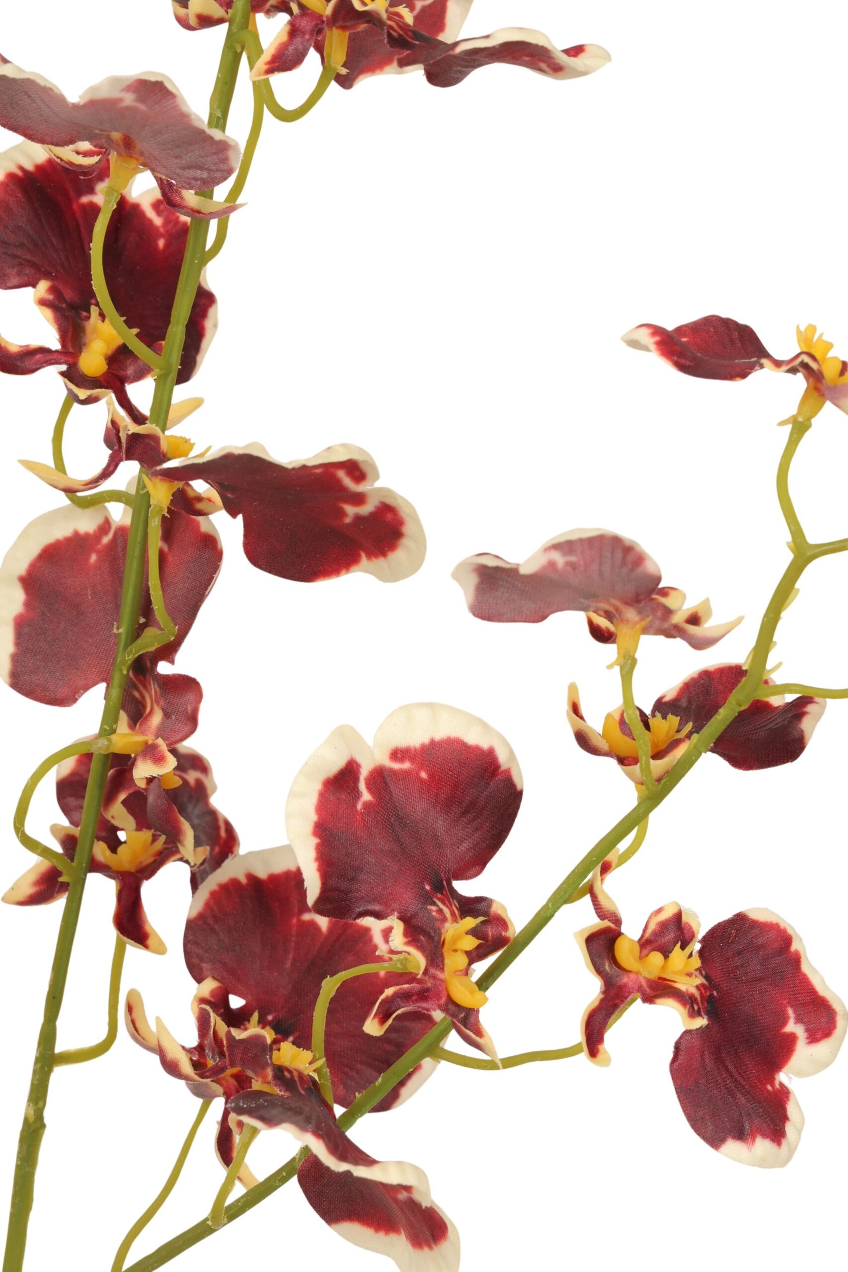 Tijgerorchidee real touch 93 cm bruin, foto 2 van 2