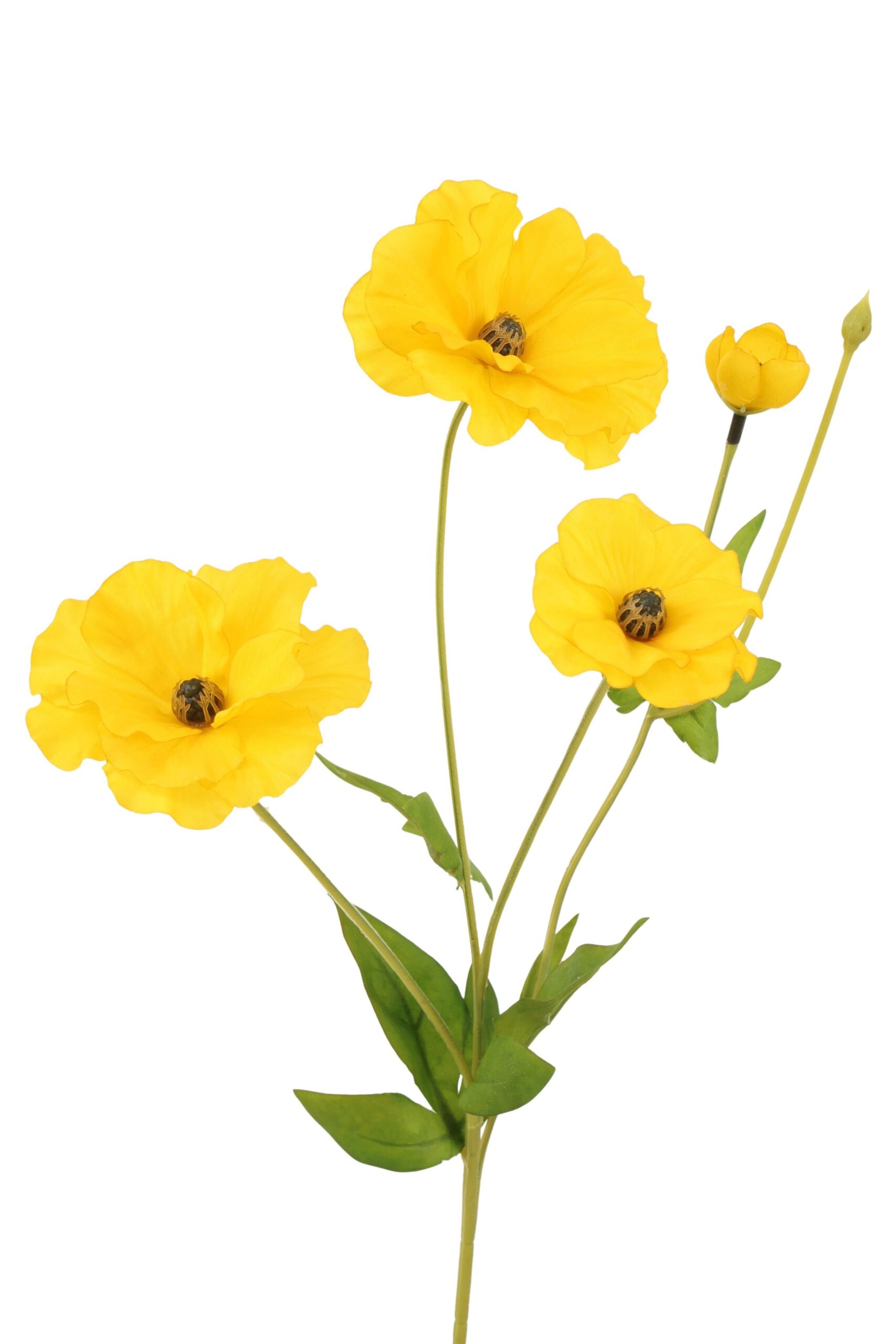 Cosmos tak x 4 50 cm geel