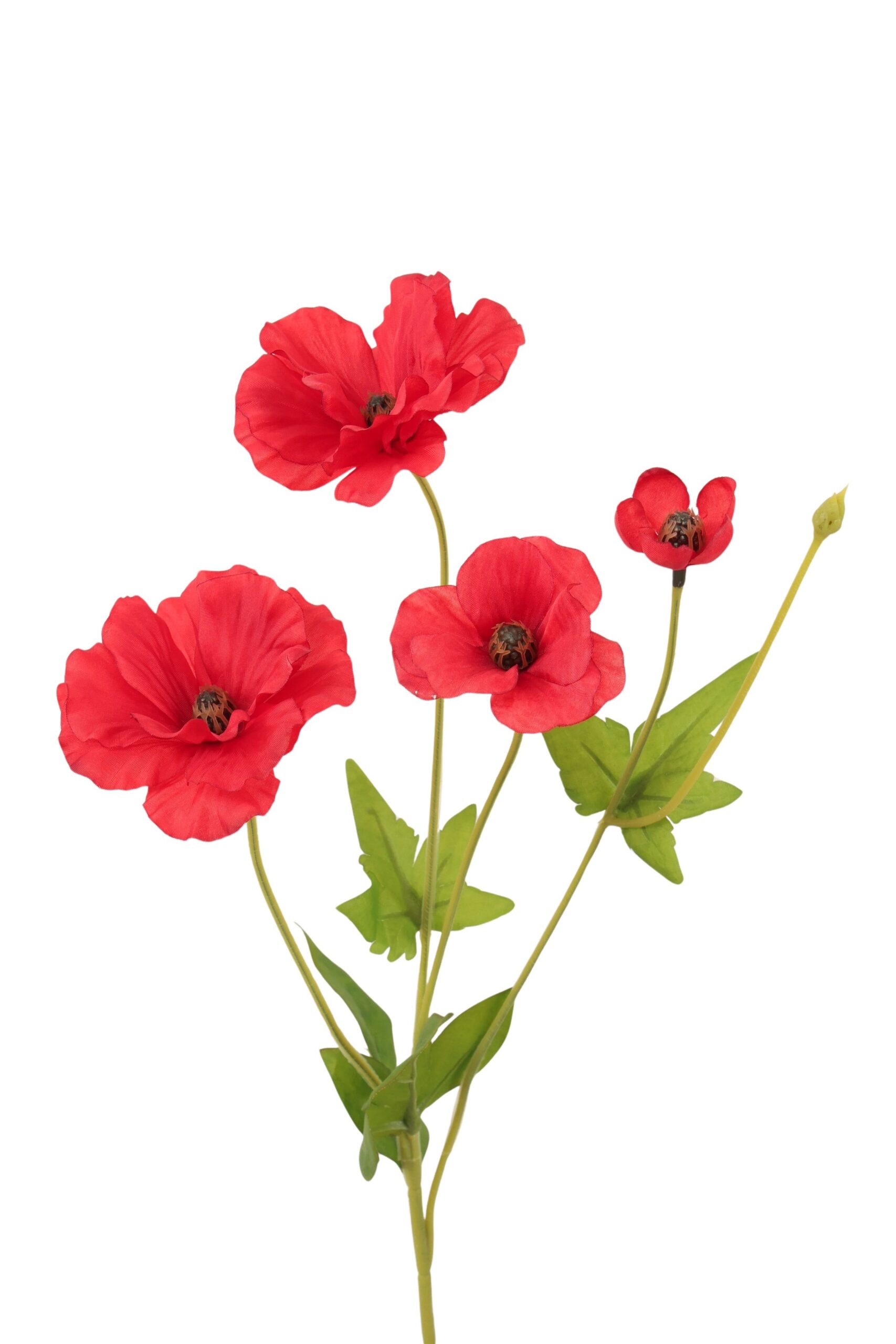 Cosmos tak x 4 50 cm rood